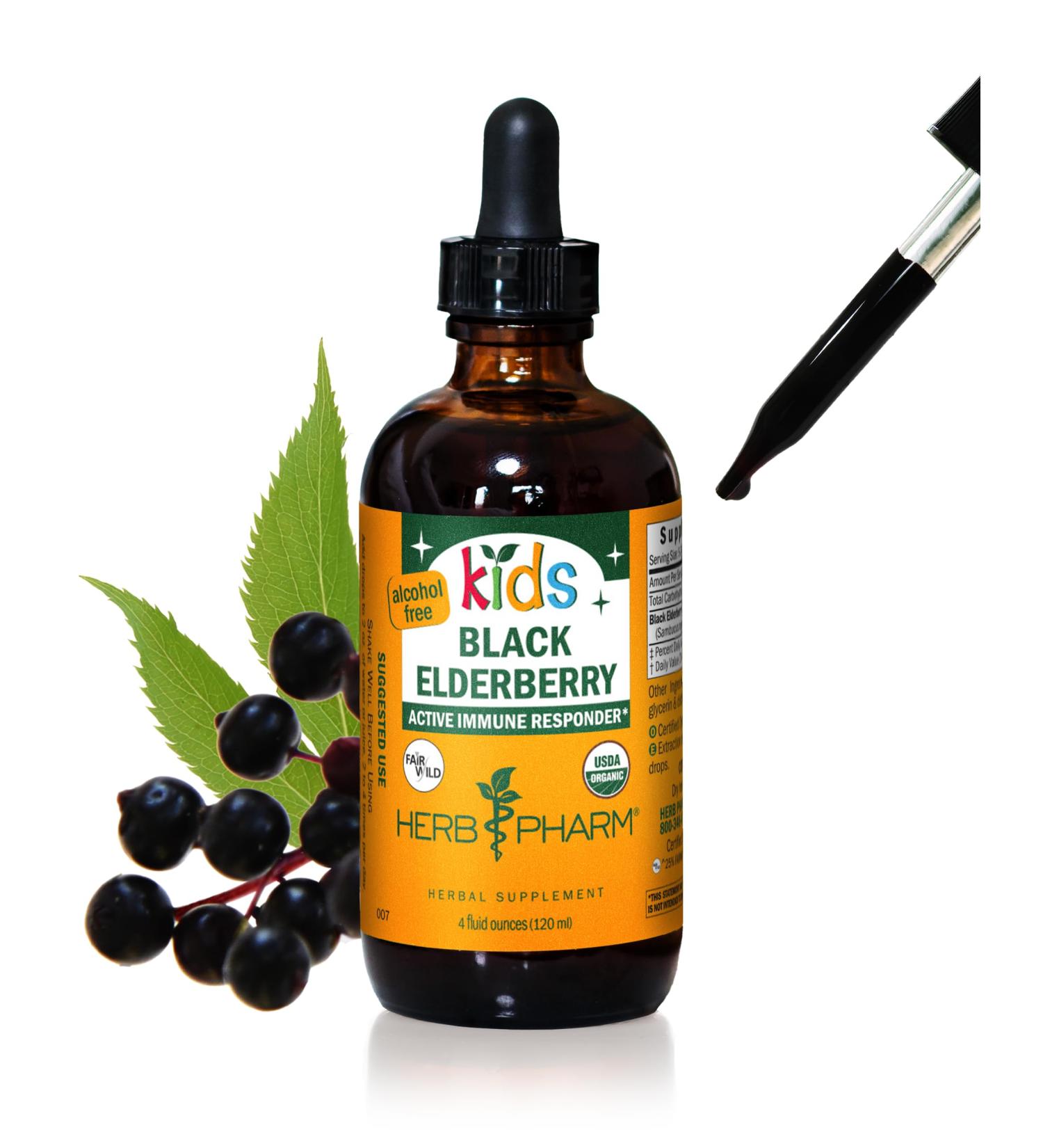 Herb Pharm Kids Certified-Organic Alcohol-Free Black Elderberry Glycerite Liquid Extract 4 Ounce - Buy Online on GoSupps.com