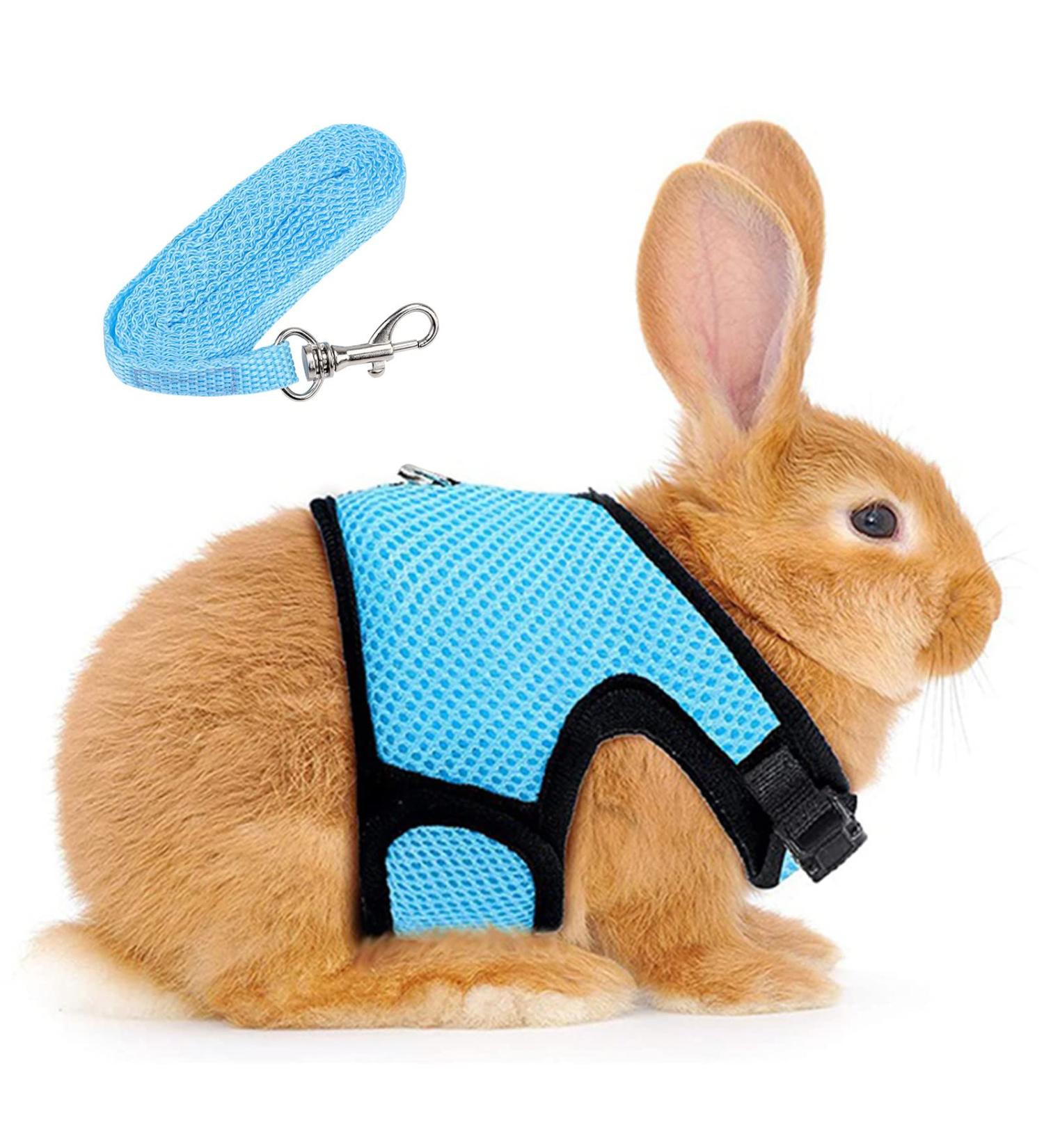 GLAITC Adjustable Rabbit Harness Leash Soft with Lead for Rabbits Guinea Pigs Rope Small Animal Pet Rats Iguana Hamster Ferrets Size L Blue - Buy Online on GoSupps.com
