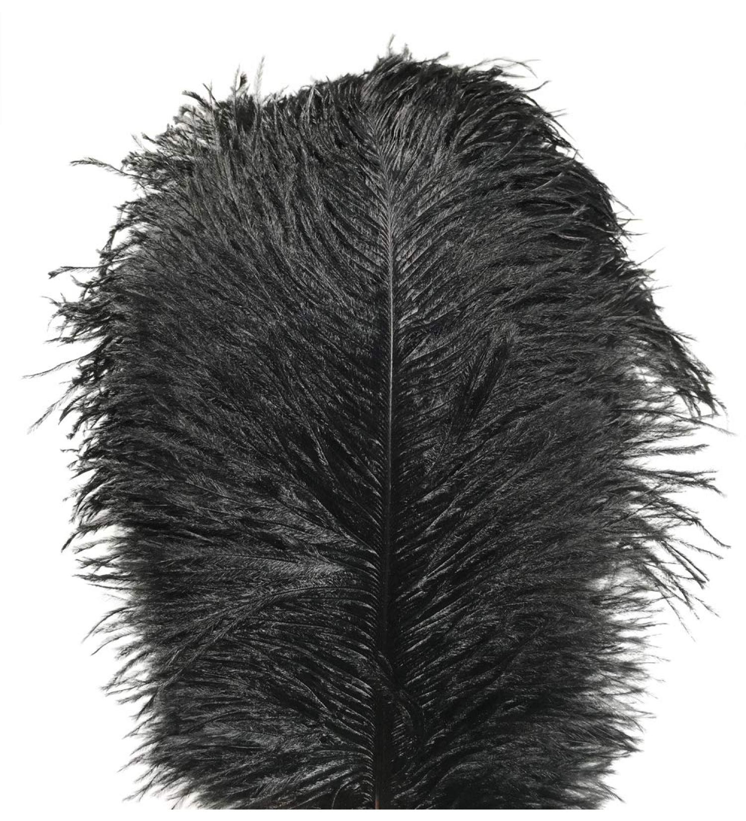 10pc Black Ostrich Feather Plume 12-14 inch for Home Wedding Decor - Buy Online on GoSupps.com