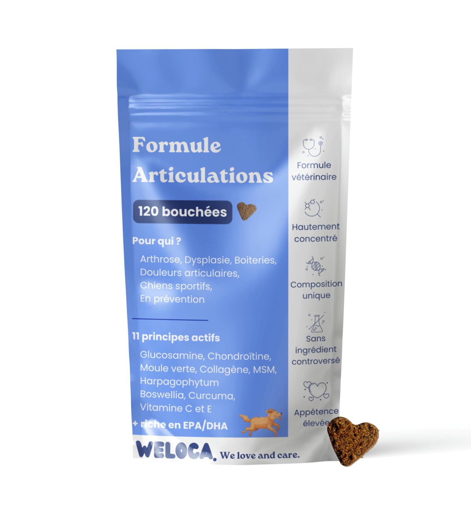 Dog osteoarthritis - 120 bites - 11 natural active ingredients (including glucosamine chondroitin green lipped mussel MSM devil's claw) - Anti-inflammatory - Highly dosed - Dog food supplement - Buy Online on GoSupps.com