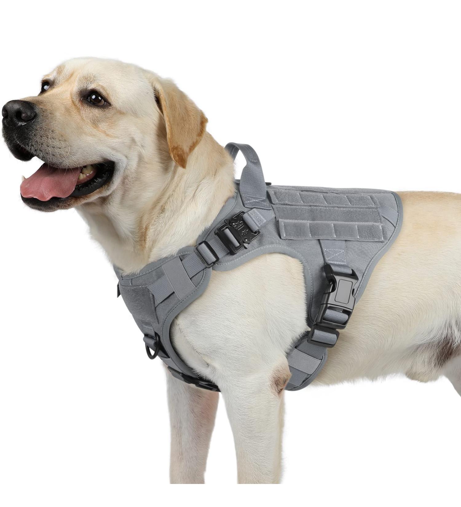 Rabbitgoo No Pull Dog Harness for Medium & Large Dogs Tactical Adjustable Vest with Metal Buckles & Padded Support - Breathable Military-Grade Design (Gray) - Buy Online on GoSupps.com