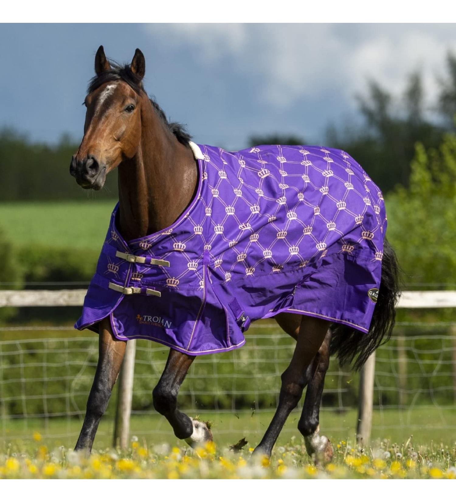 Gallop Equestrian Gallop Trojan Monarch 100g Lightweight Outdoor Horse Turnout Rug Standard Neck (6'6'' Purple) 6'6" Purple - Buy Online on GoSupps.com