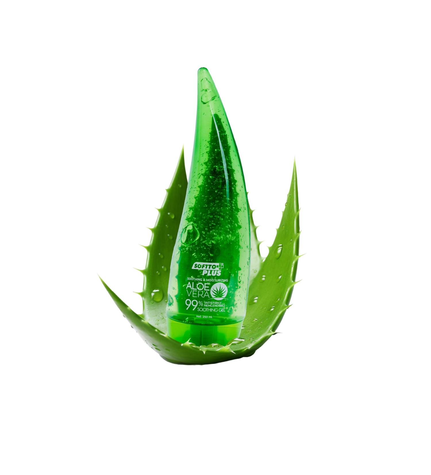 SofttoPlus Softto+Plus soothing and moisturizing gel for aloe vera - Buy Online on GoSupps.com