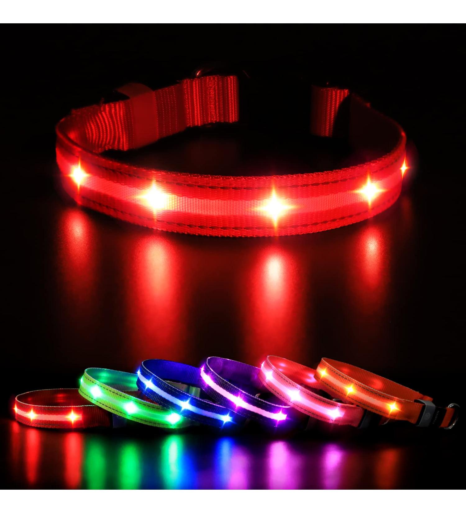 Buy Masbrill LED Dog Collar Light - Waterproof Adjustable & Bright Safety Light for Small to Large Dogs (Red 28-40cm) - Buy Online on GoSupps.com