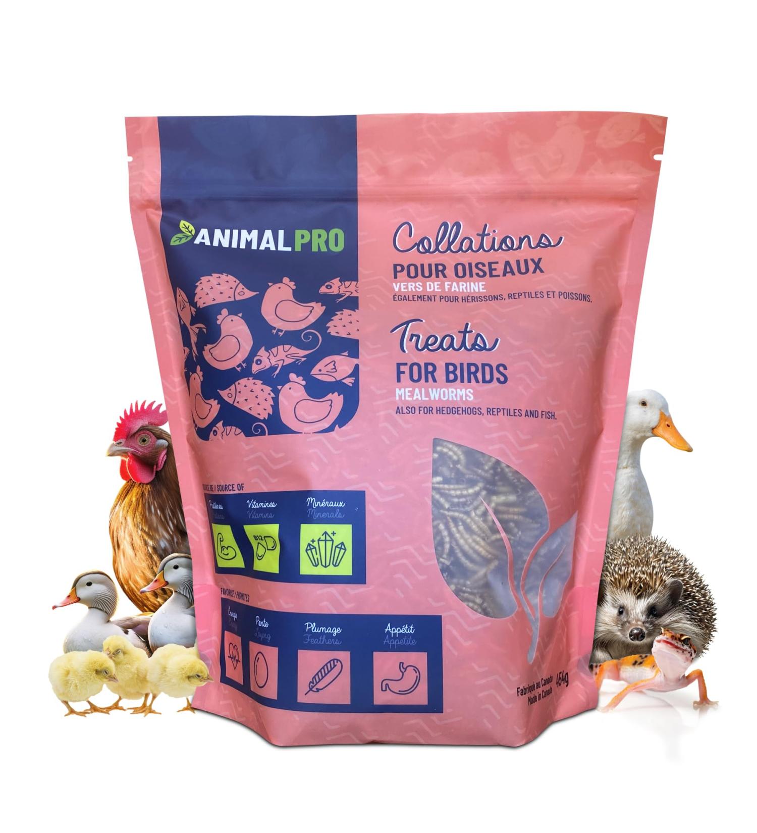 AnimalPro Mealworms 454 g (1 LB) Approx 17 000 Mealworms - Buy Online on GoSupps.com