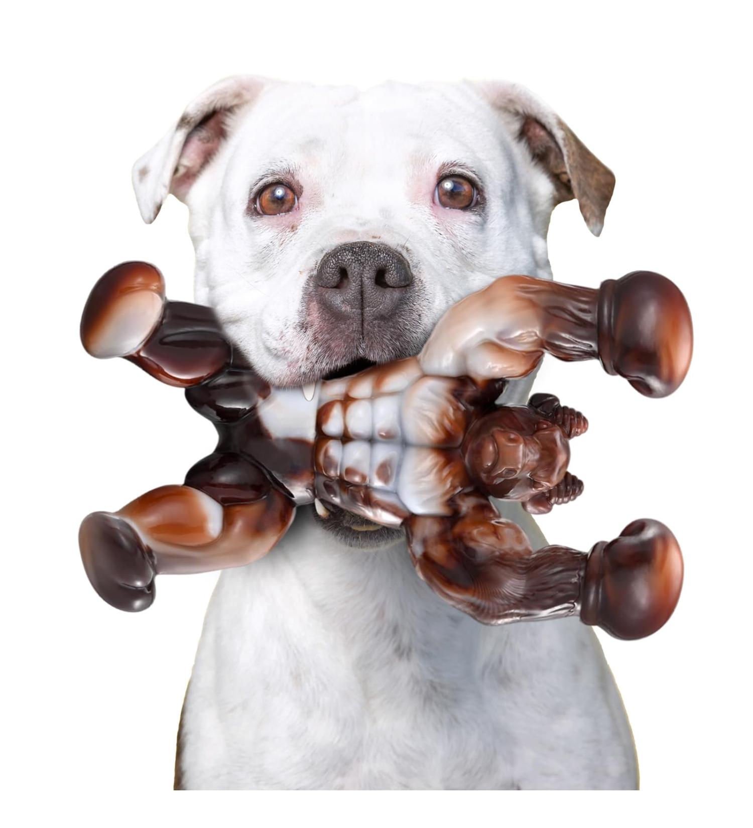Zinbo Indestructible Dog Toys for Aggressive Chewers - Dark Brown, Medium/Large Breed - Buy Online on GoSupps.com