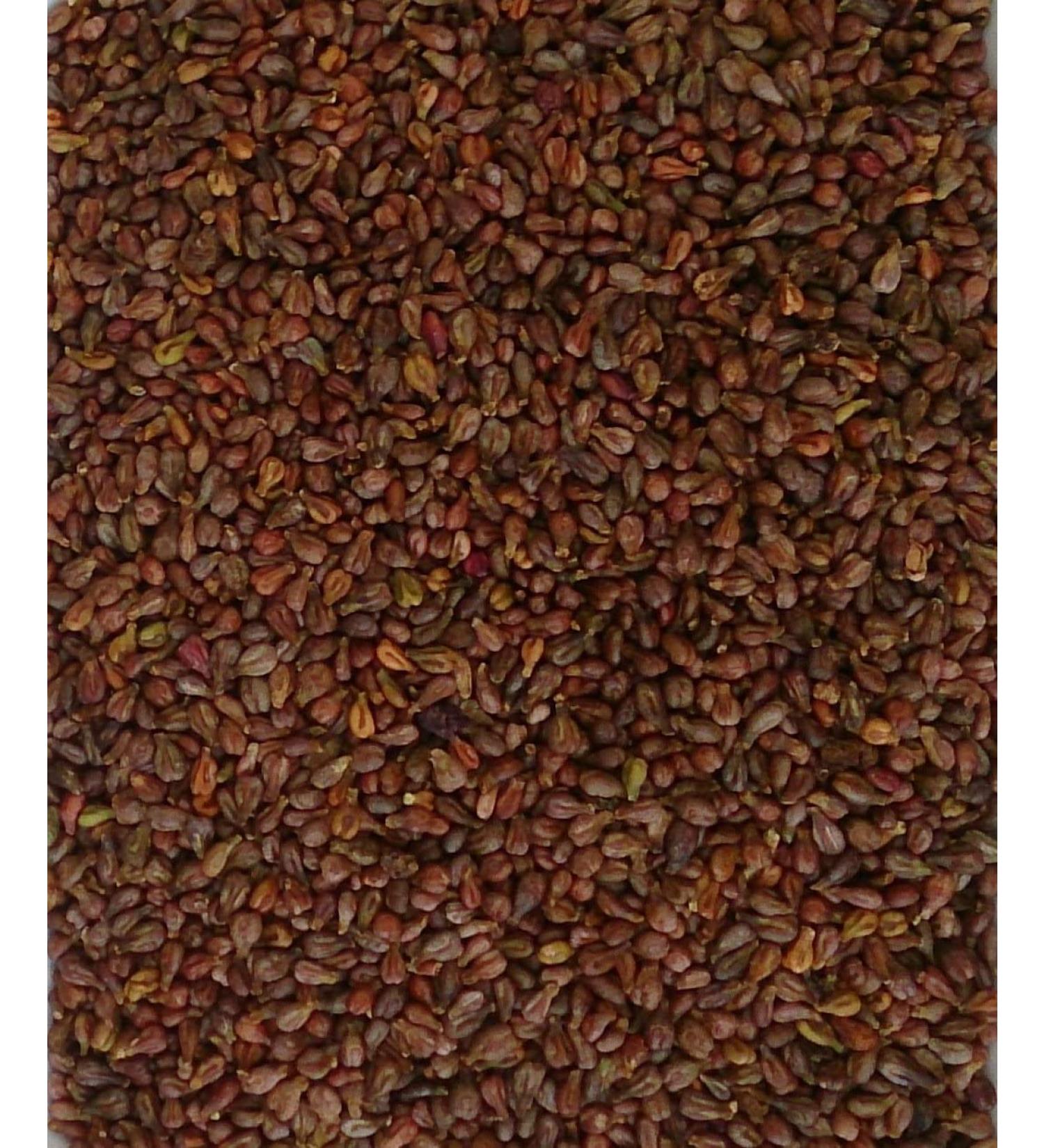 Grape seeds 2 kg loose for heat cushions grape bead pillow cushion Cold pillow filling grain pillows Kerne grain pillows Filling material grape seed bags foot massage hand massage occupational therapy physiotherapy