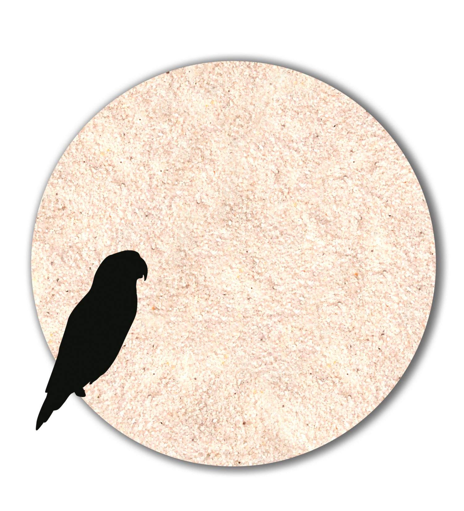 Anbobo M ller GmbH 12 kg Germ-Free White Bird Sand - Premium Fine Substrate for Bird Cages - Buy Online on GoSupps.com