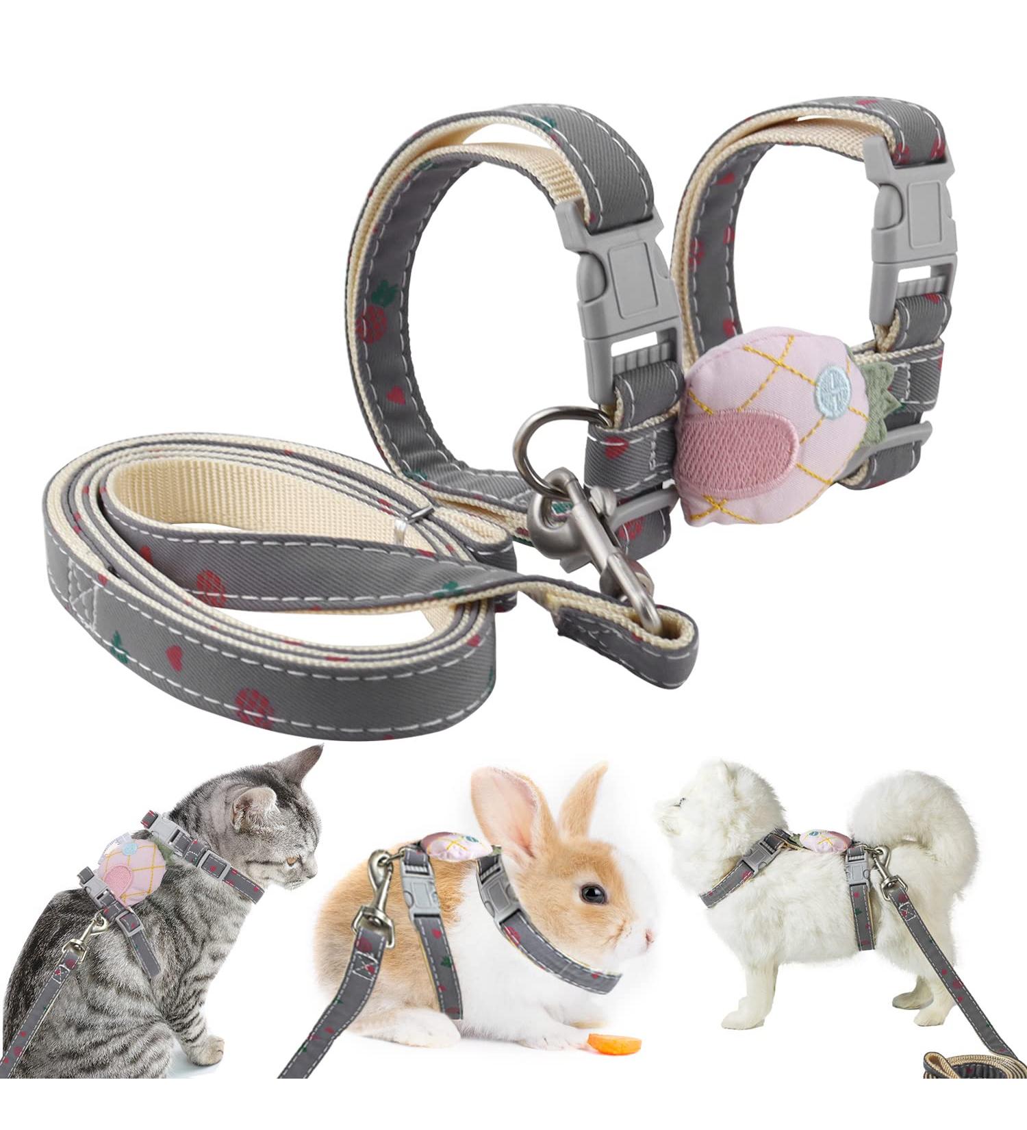 Adjustable Rabbit Dishes with Leash | Nylon Pet Bowls for Rabbits Kittens Puppies & Small Pets - Perfect for Outdoor Hikes | Shop Internationally - Buy Online on GoSupps.com