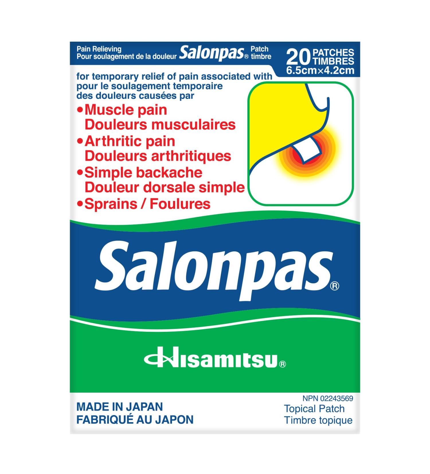 Salonpas Pain Relieving Patch 20 Patches