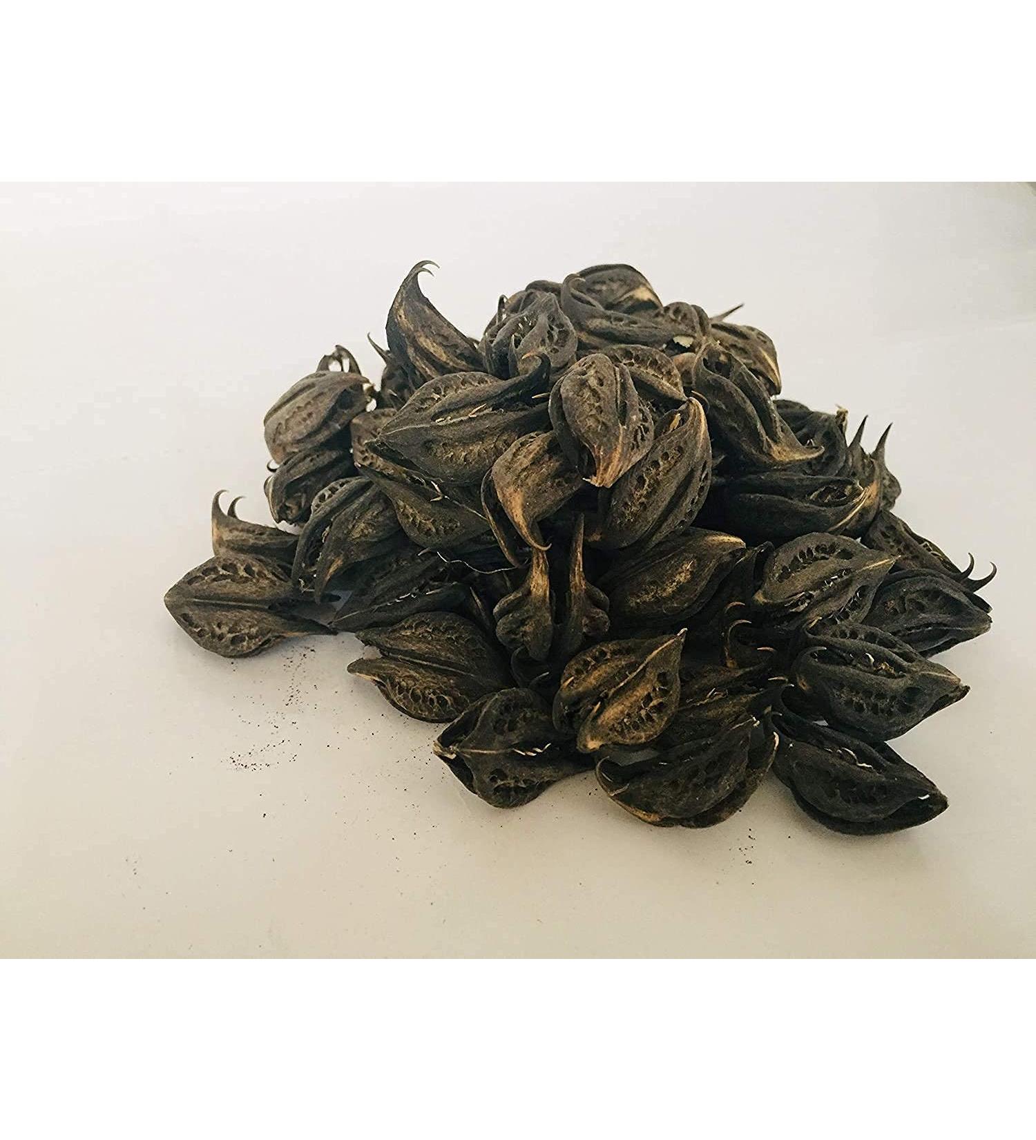 QURA Bicchu FAL | Martynia Annua | Baghnoki - Puli | Nakham | 200g