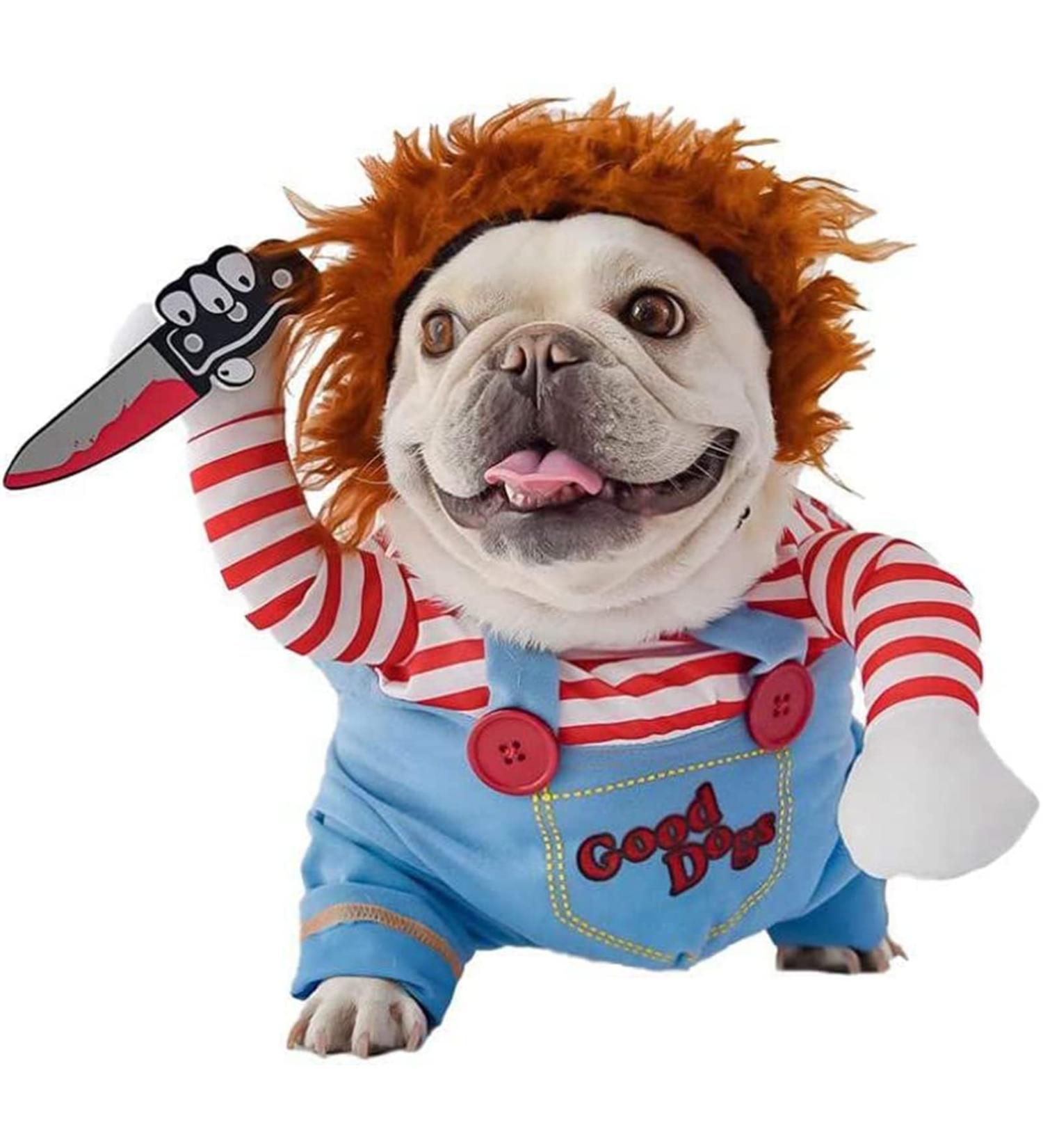 Halloween Costumes for Dogs | Funny Pet Costumes & Christmas Party Suits | Best Dog Cosplay Outfits - Buy Online on GoSupps.com