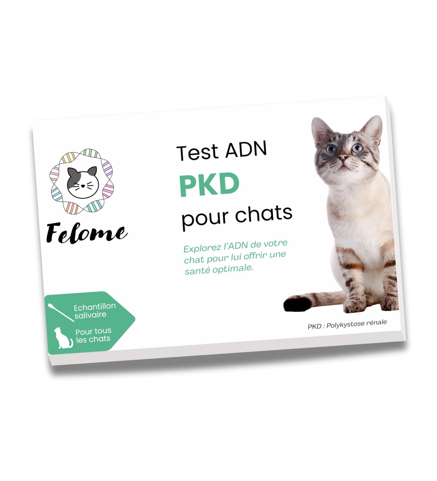 Felome PKD DNA Test for Cats Polycystic Kidney Disease Test for Your Cat Results in 2 Weeks Possible Upgrade to Genetic Panel Kitten and Cat Health Test