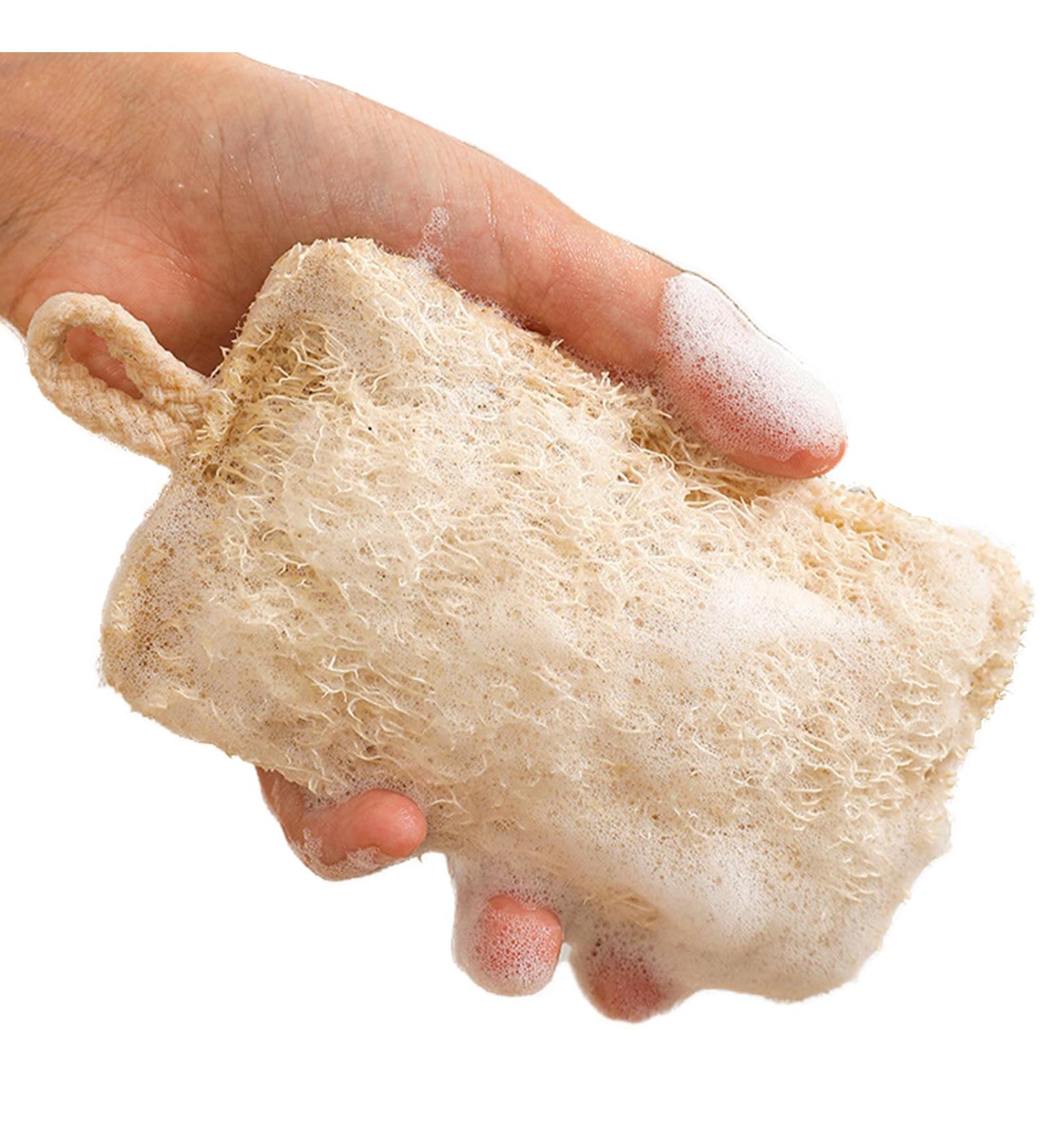 Loofah - Cleaning Dishwashing Sponge | Scratch-Resistant Loofah Dishwashing Cloth Scrub Pad for Plates Cookware Dishes Rowces Square Loofah-lanyard - Buy Online on GoSupps.com