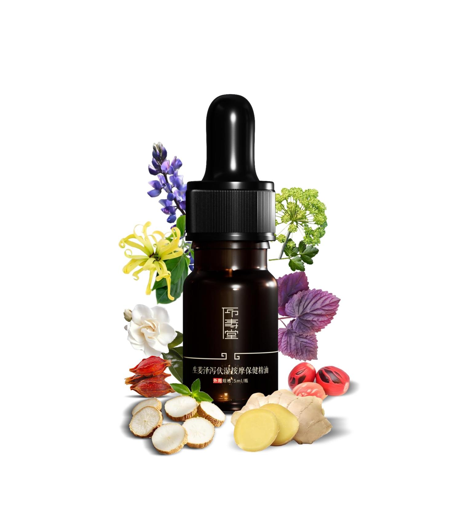 Clarity Warming Relief Essential Oil Blend - Ginger Angelica Alisma & Nutmeg for Fluid Balance Circulation & Deep Comfort - 5ml Natural Skin-Safe Aromatherapy (0.17 Fl Oz (Pack of 1)) - Buy Online on GoSupps.com