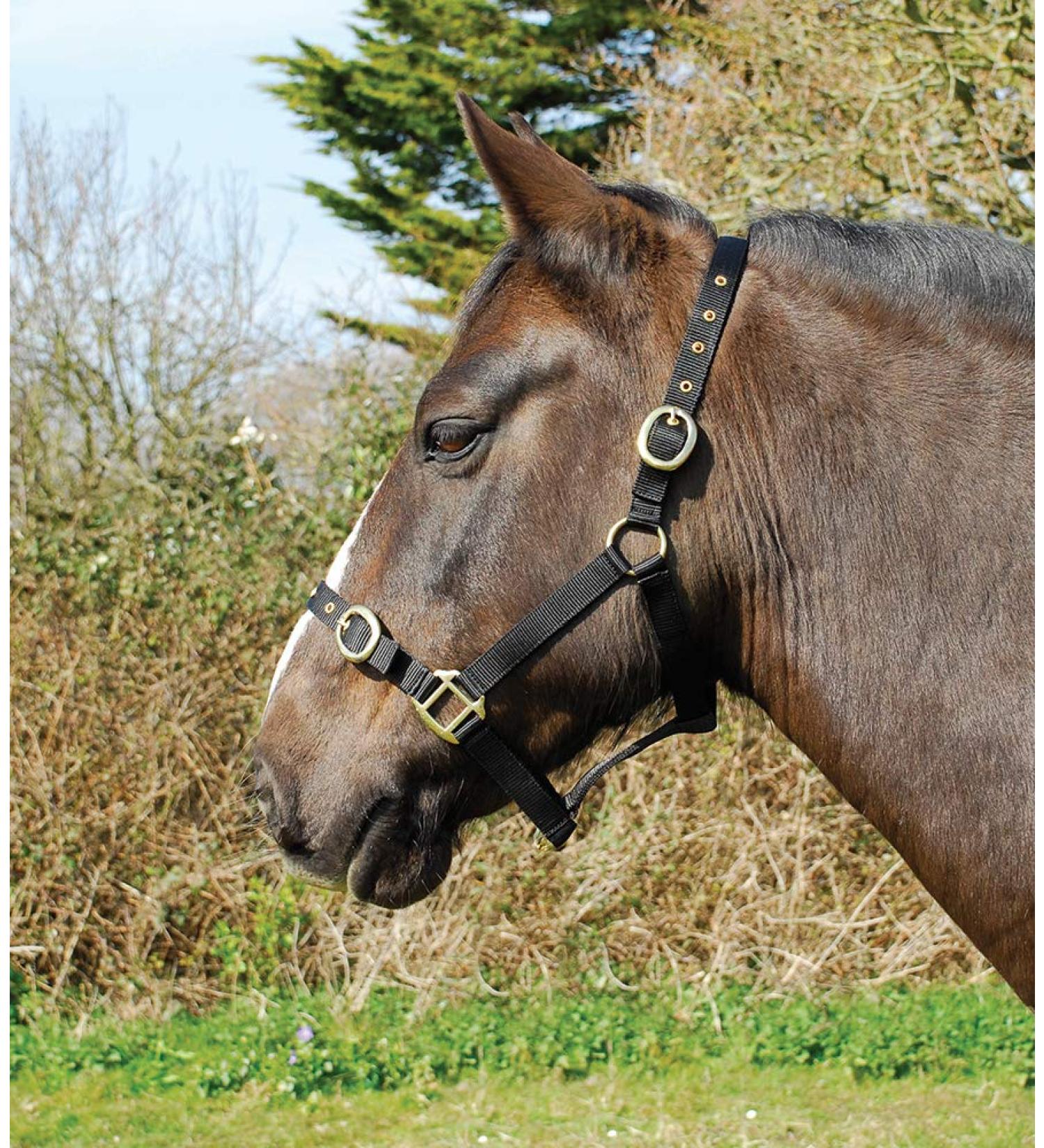 Rhinegold nylonhaler COB black