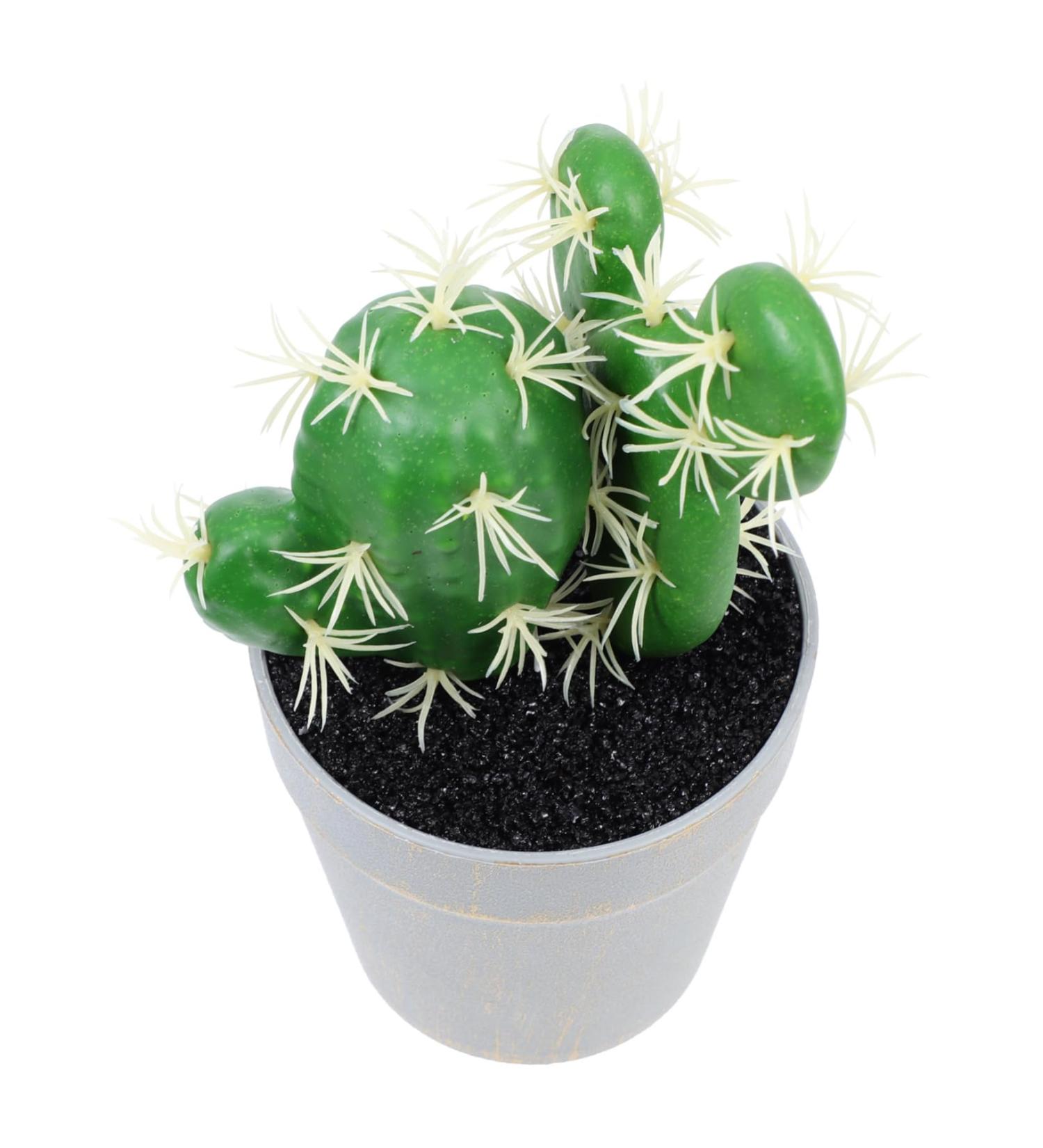 Alipis Potted Cactus Ornament Fake Planta Decor Plastic Flower Pots Plastic Plant Pots Porcelain Artificial Greenery Desktop Adornments Simulation Cactus Statue Silk Flowers Fake Bonsai Green 19X9CM - Buy Online on GoSupps.com