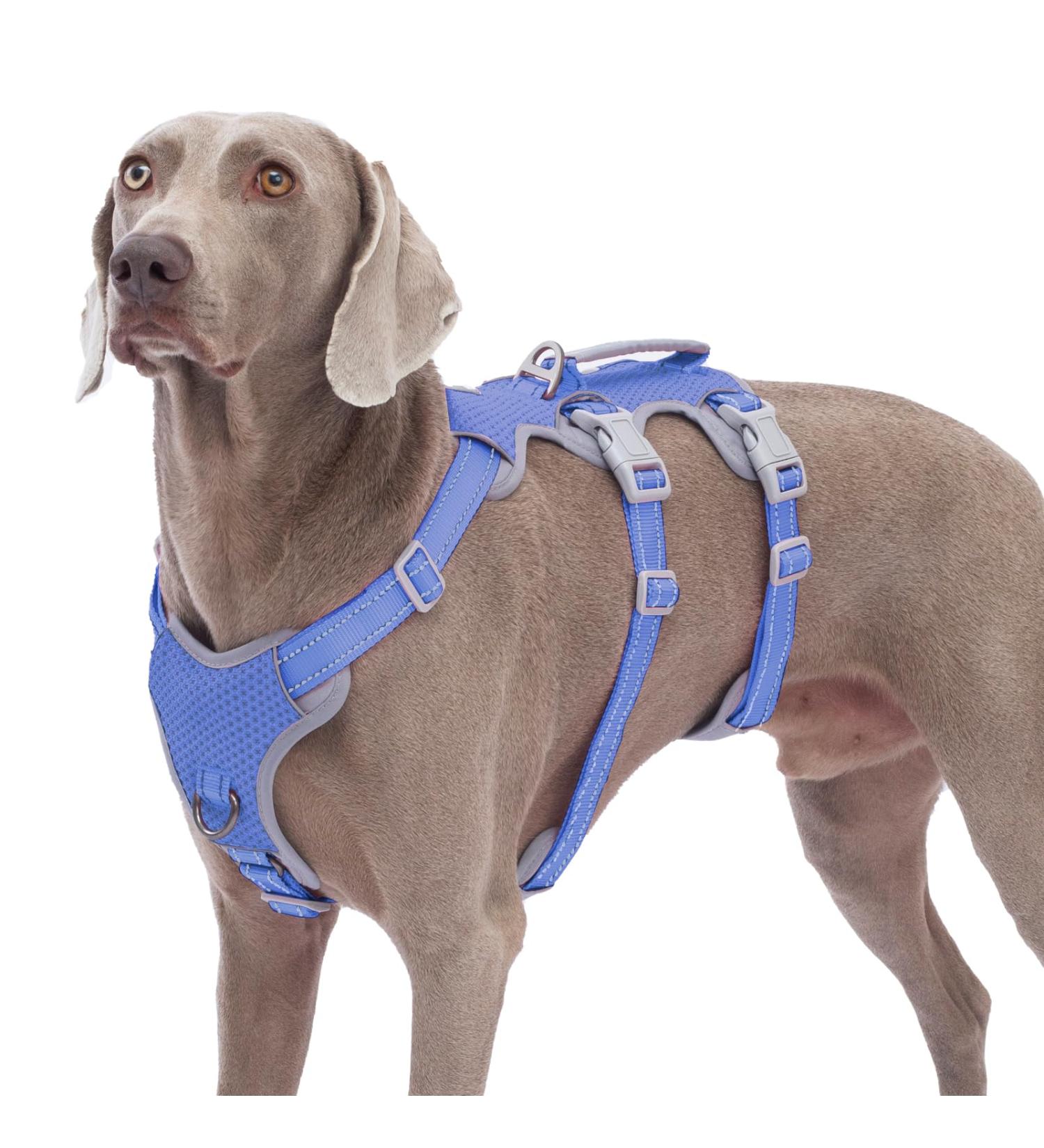 Huntboo Escape Dishes & Harness for Large Dogs - Reflective Durable Adjustable Vest (Vista Blue XL) - No Pull Design Perfect for Training & Walks - Buy Online on GoSupps.com