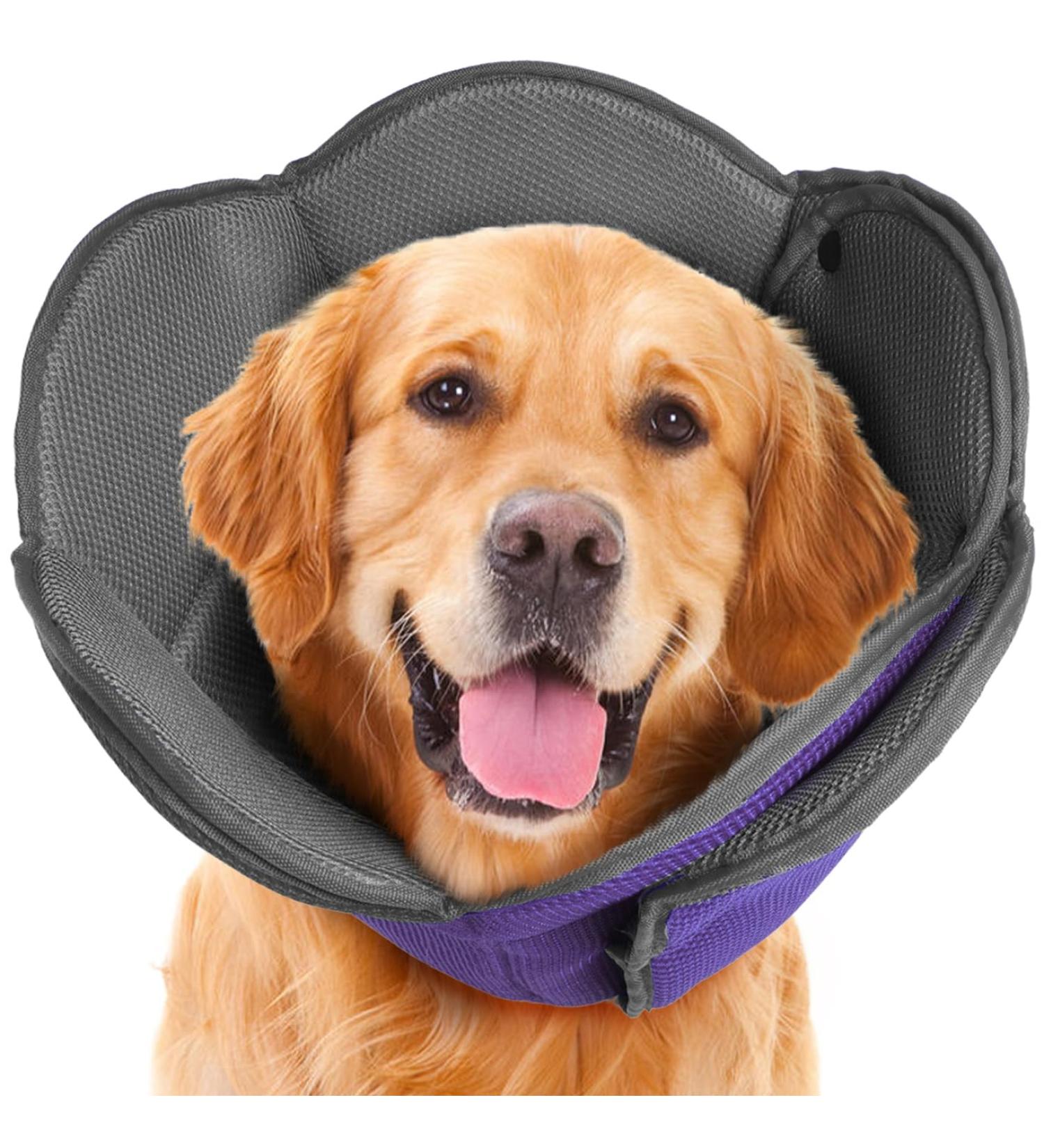 IDOMIK Dog Cone for Dogs After Surgery Comfy Soft Dog Cones for Large Medium Small Dogs Cats Adjustable Protective Dog Recovery Collars & Cones Alternatives to Prevent Pets from Licking Wounds M M(Neck Girth:11.02"-14.17") Purple - Buy Online on GoSupps.com