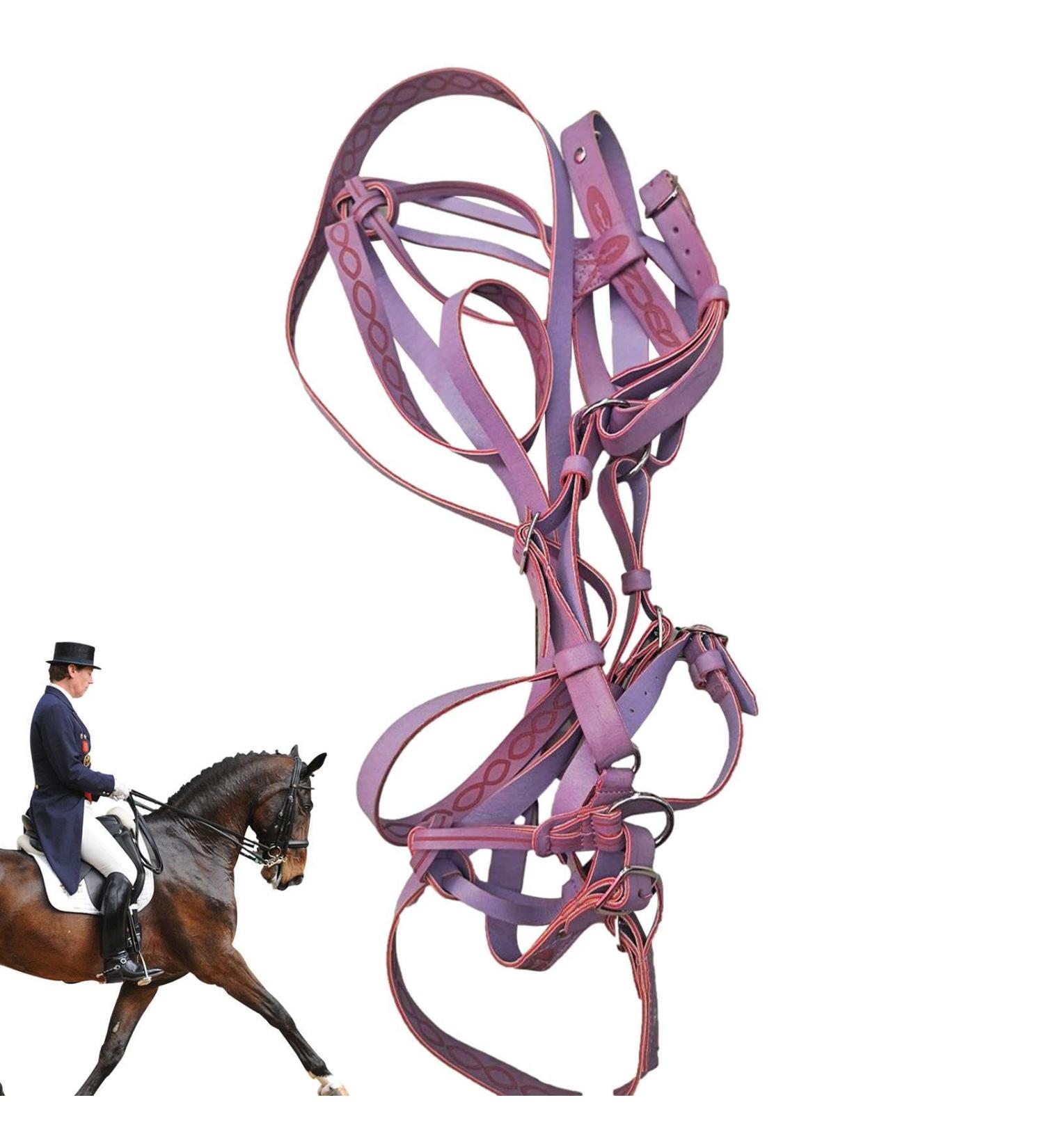 Small Horse Halter | Tied Halter Adjustable Chin & Throat Snap Horse Safety Halter Colorful Padded Nylon Size Horse Care for Horse Grooming Training Pochy Purple - Buy Online on GoSupps.com