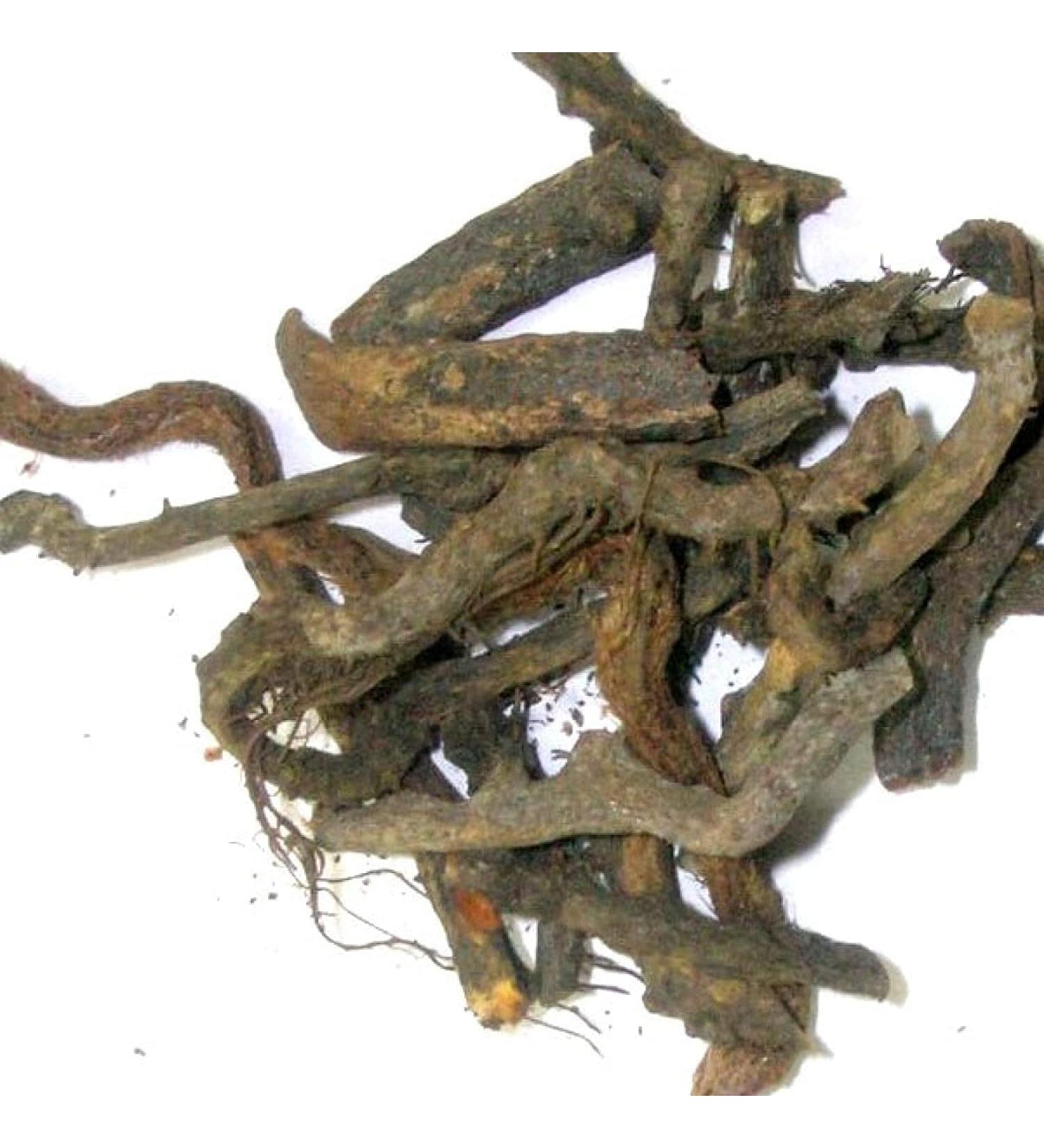 BETT Xetomos Nirgand Nirgundi Root Vitex Negundo Root Dried 200gm Nishinda Nirgundi Samalu Huang ping Five-Leaved Chaste Tree Gattilier incise M nchspfeffer Nagod Nagad Sambhalu Sawbhalu