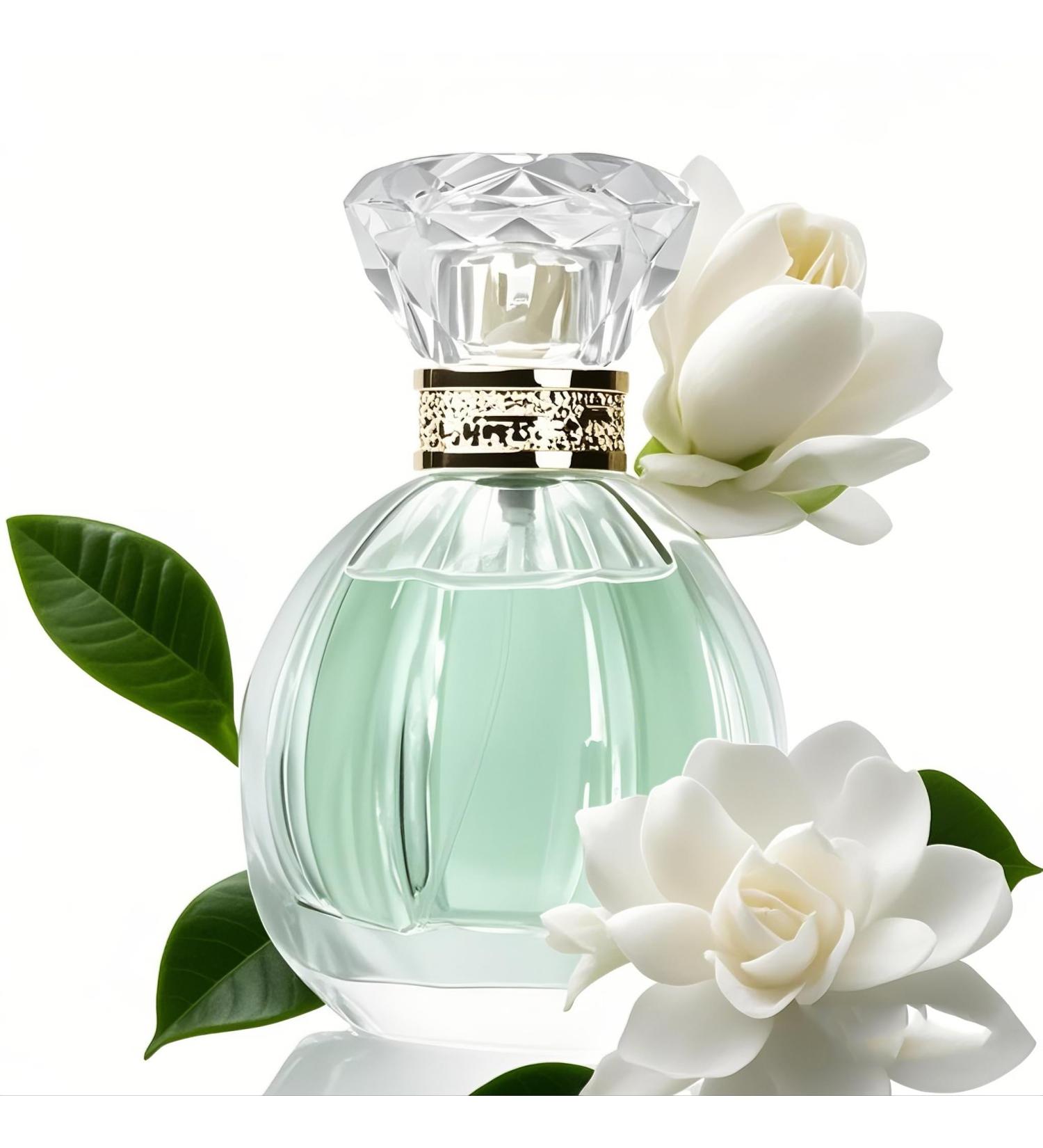 Eau de Parfum Spray Eau Fraiche Eau de Toilette for Women Perfumery Sweet Scent and Light Flavor Relax Meditation Be At Peace Mentally Soothe The Nerves 1.7 Ounce 50ml (Gardenia) - Buy Online on GoSupps.com
