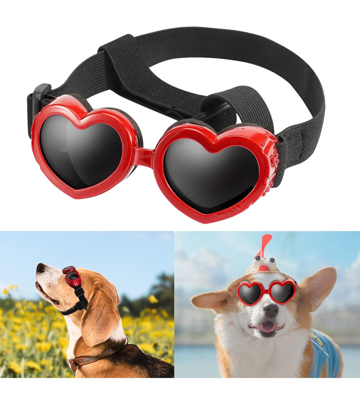 UV Protective Heart Shape Dog Sunglasses - Adjustable Windproof & Waterproof for Small Dogs (Red) - Buy Online on GoSupps.com
