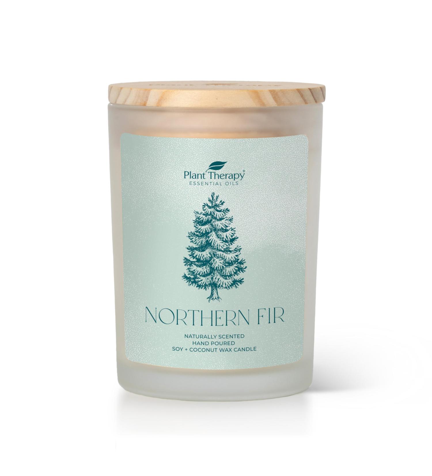 Buy Plant Therapy Northern Fir Candle - 8 oz Hand-Poured Coconut & Soy Wax Refreshing Forest Scent Frosted White Jar with Wooden Lid - International Shipping Available - Buy Online on GoSupps.com