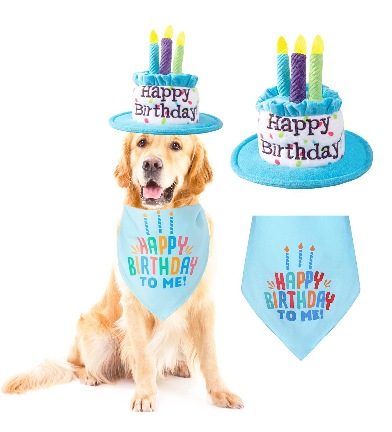 Ushang Pet Extral Large Dog Birthday Cake Hat & Birthday Bandana Scarfs Set Blue  Dog Happy Birthday Hat with Colorful Candles  Large Dog Birthday Party Supplies Decorations Birthday Hat & Bandana - Buy Online on GoSupps.com