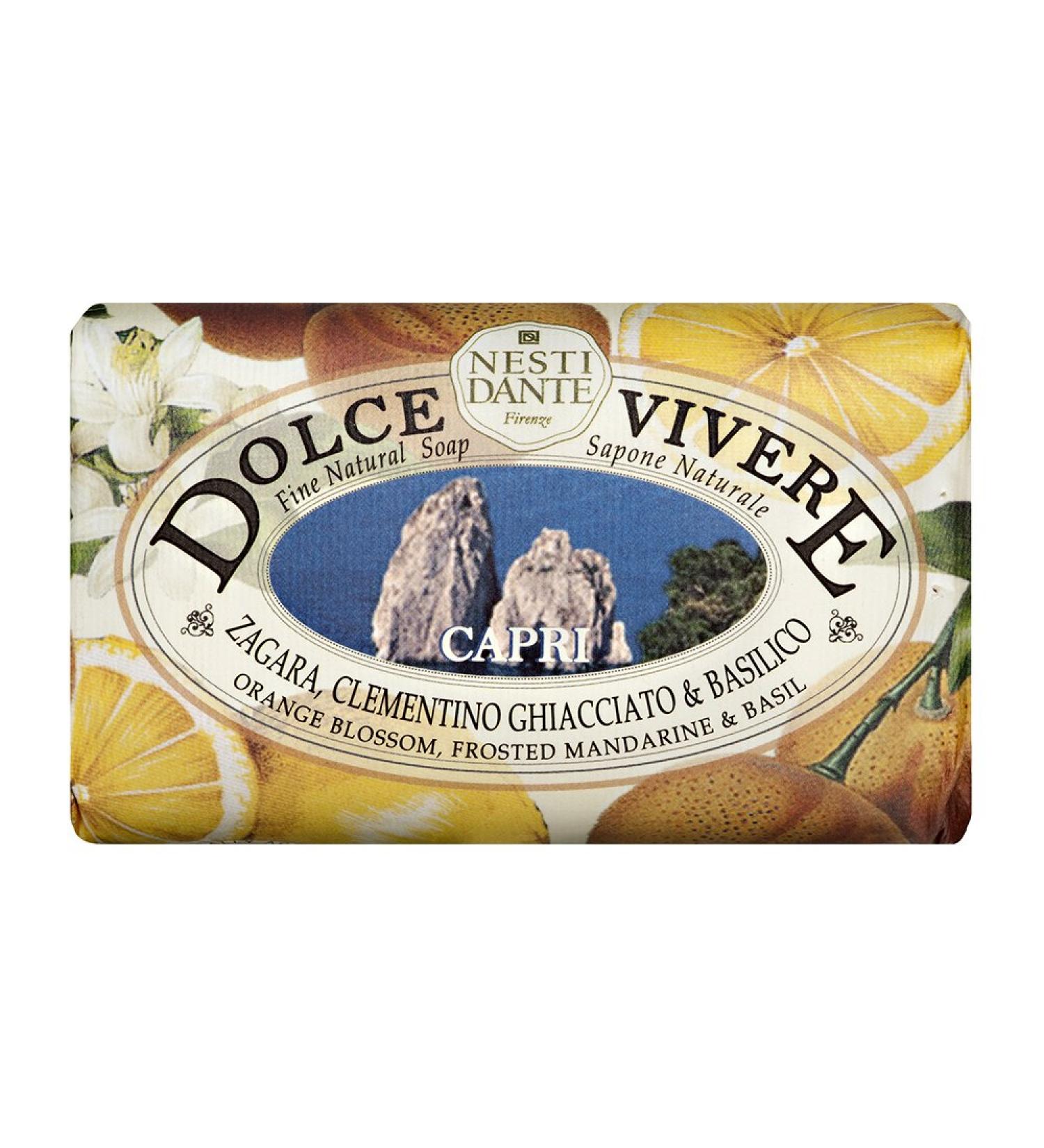 Buy Saponeria Nesti Firenze Capri Perfumed Natural Soap - Dolce Vivere 8.8oz (Pack of 3) | Italian Import | International Shipping - Buy Online on GoSupps.com