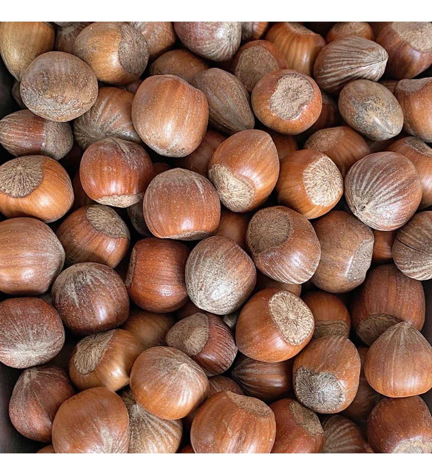 Paul's mill hazelnuts 5 kg harvest 2023