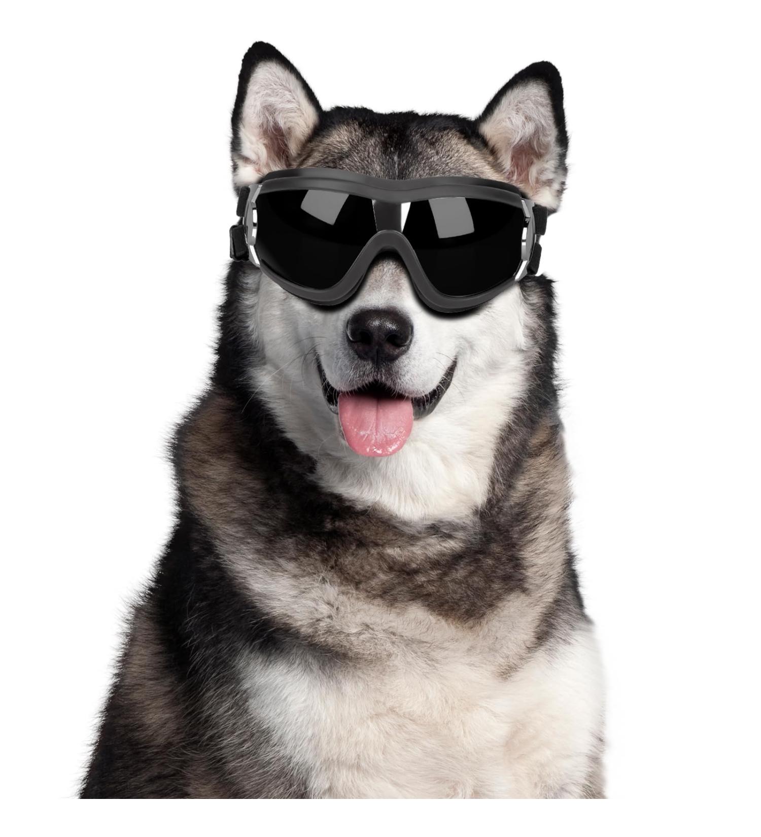 Zaleonline Dog Glasses - Waterproof & Windproof UV Protection Sunglasses for All Dogs - Adjustable Fit in Black - Buy Online on GoSupps.com