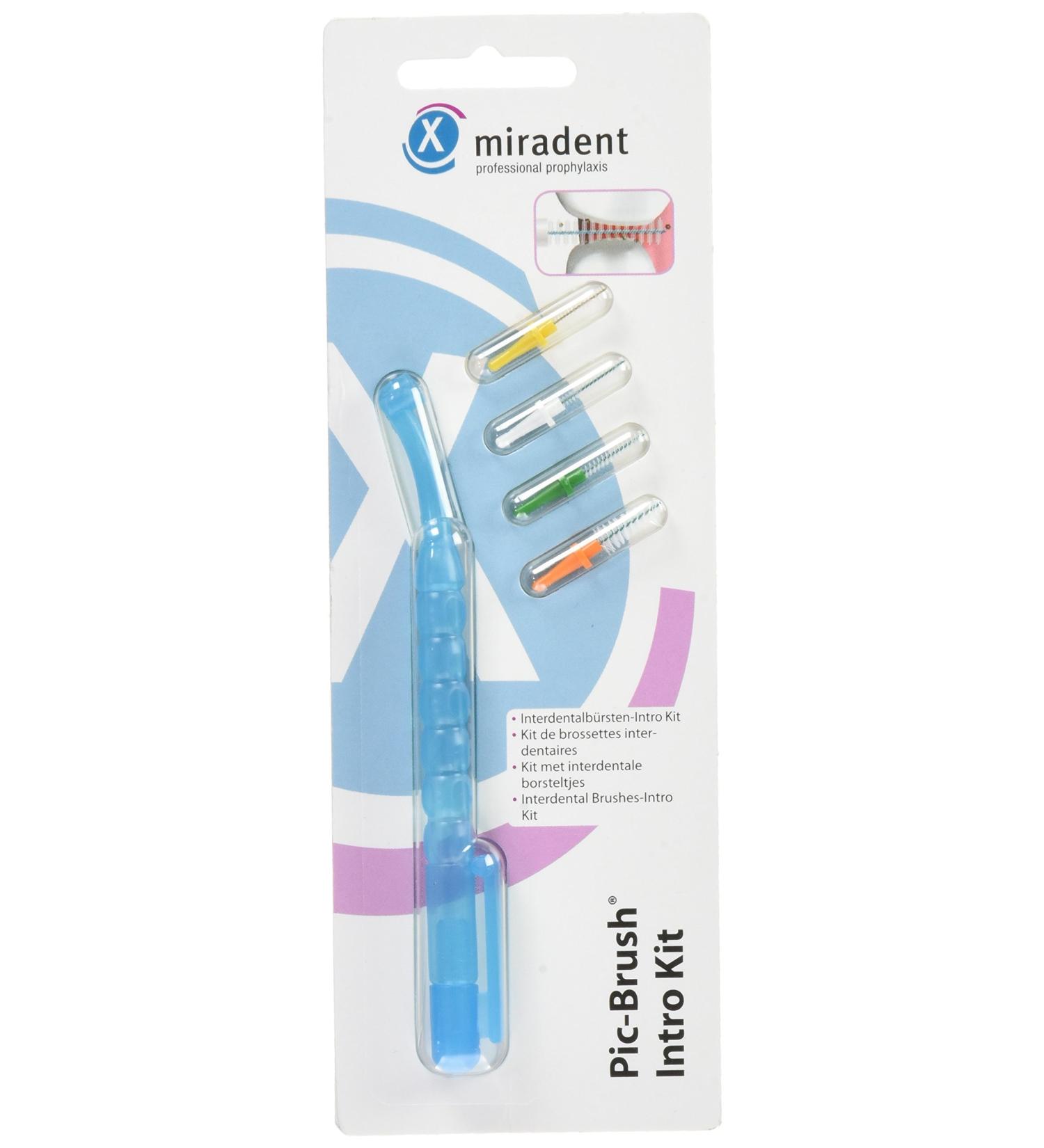 Pic-Brush Intro Kit - Blue Transparent | 4 Piece Set for Effortless Precision | International Shipping Available - Buy Online on GoSupps.com