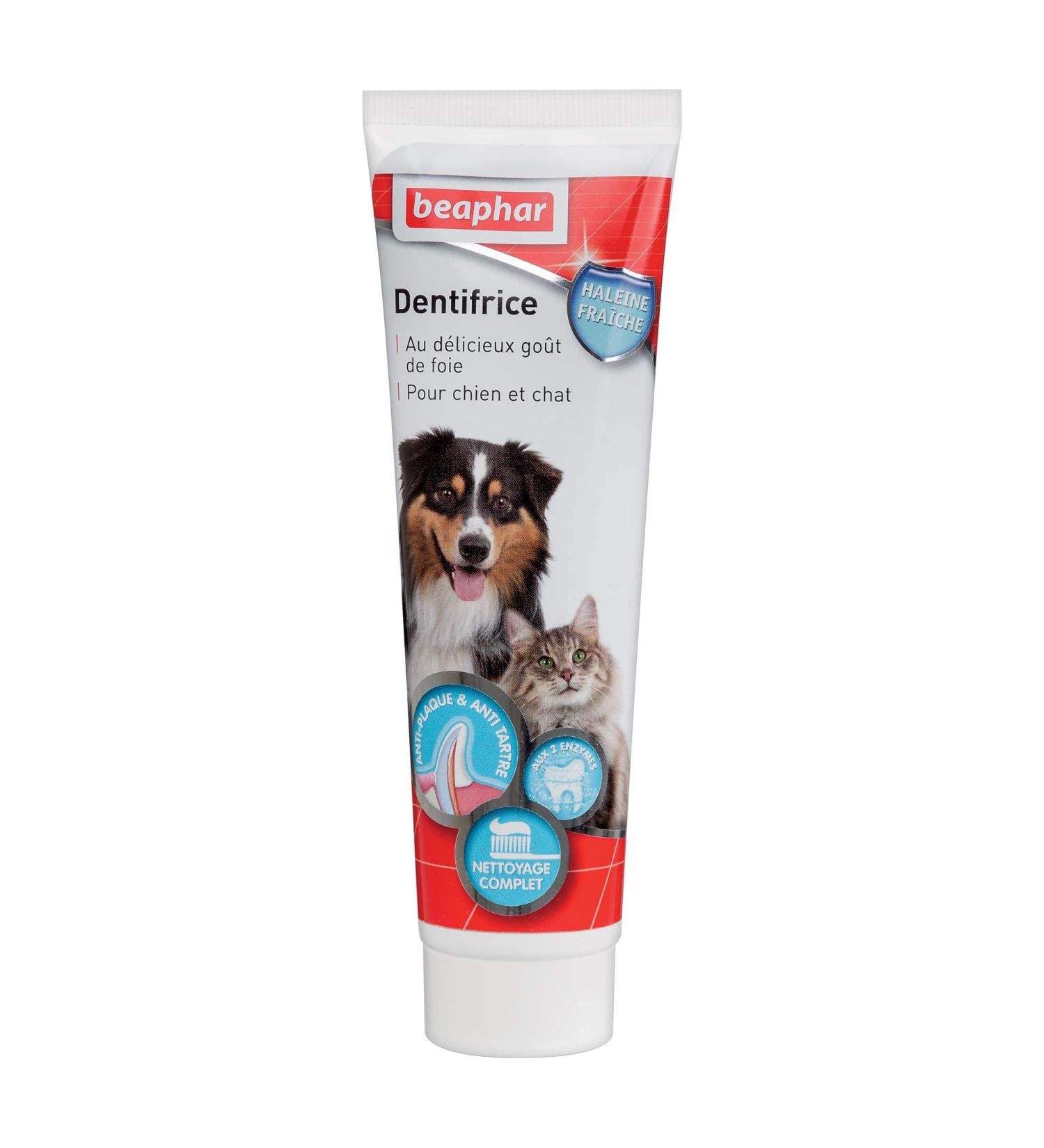 Beaphar Fresh Breath Toothpaste for Dogs and Cats Highly Appetizing No Rinse Removes Plaque Prevents Tartar Formation Fights Bad Breath 100g Tube - Buy Online on GoSupps.com