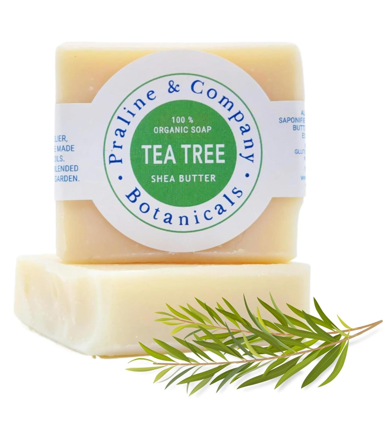 Organic Handmade Tea Tree Bath & Hand Soap for Oily Skin | 100% Organic Ingredients | Moisturizing Foam | 4oz - Buy Online on GoSupps.com