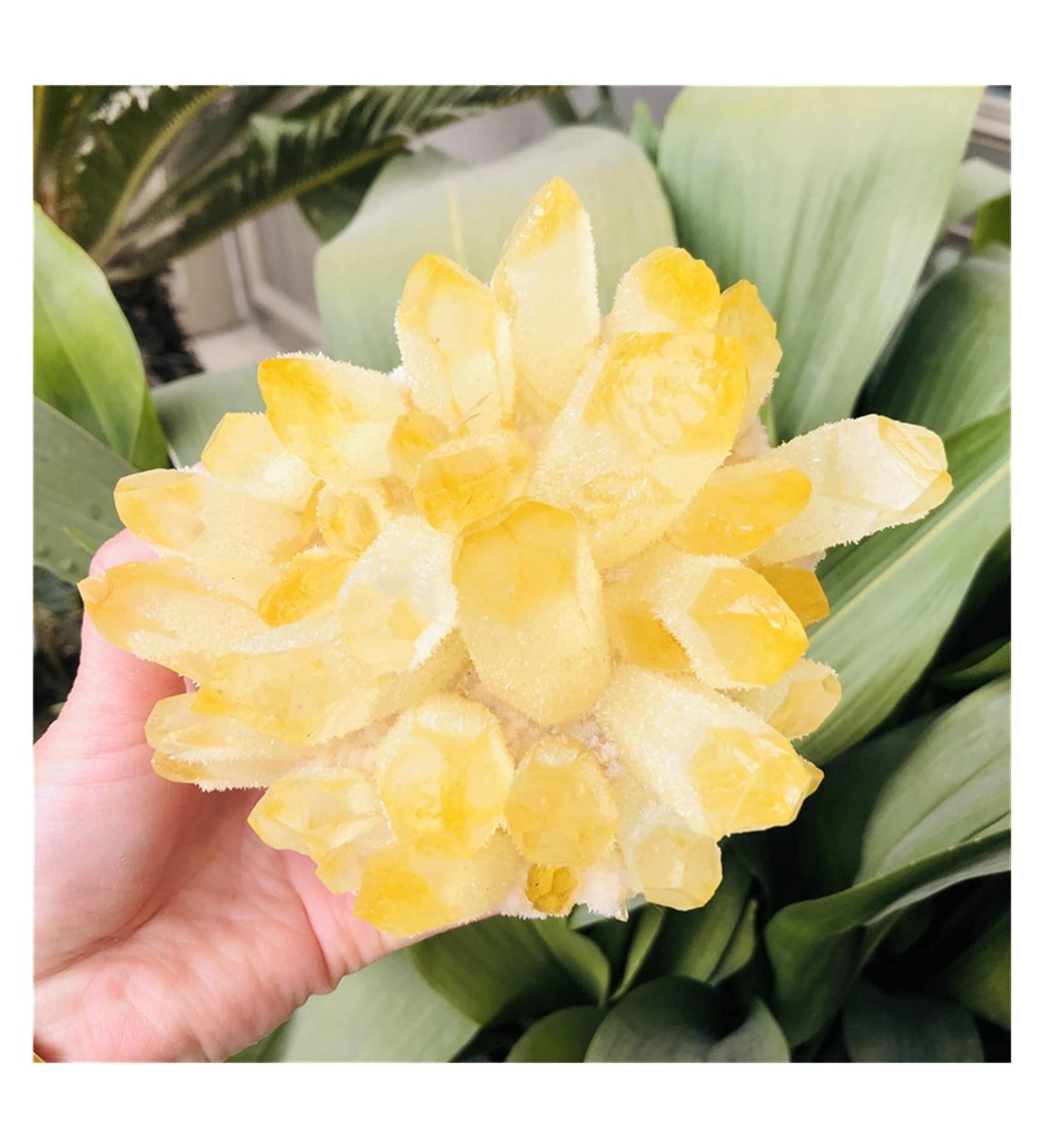 Natural Citrine Phantom Quartz Crystal Cluster Specimen qiangang (Size : 700-800g) - Buy Online on GoSupps.com
