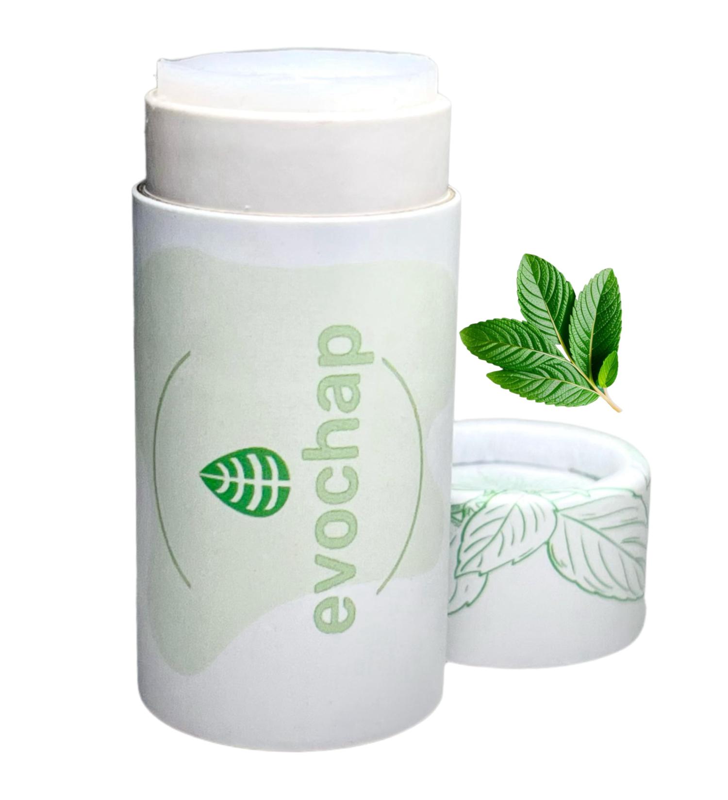 All Natural Luxury Lip Balm | Moisturizing & Eco-Friendly | Hydrates Dry Chapped Lips | Mint Flavor in Push Up Paper Tube - Buy Online on GoSupps.com