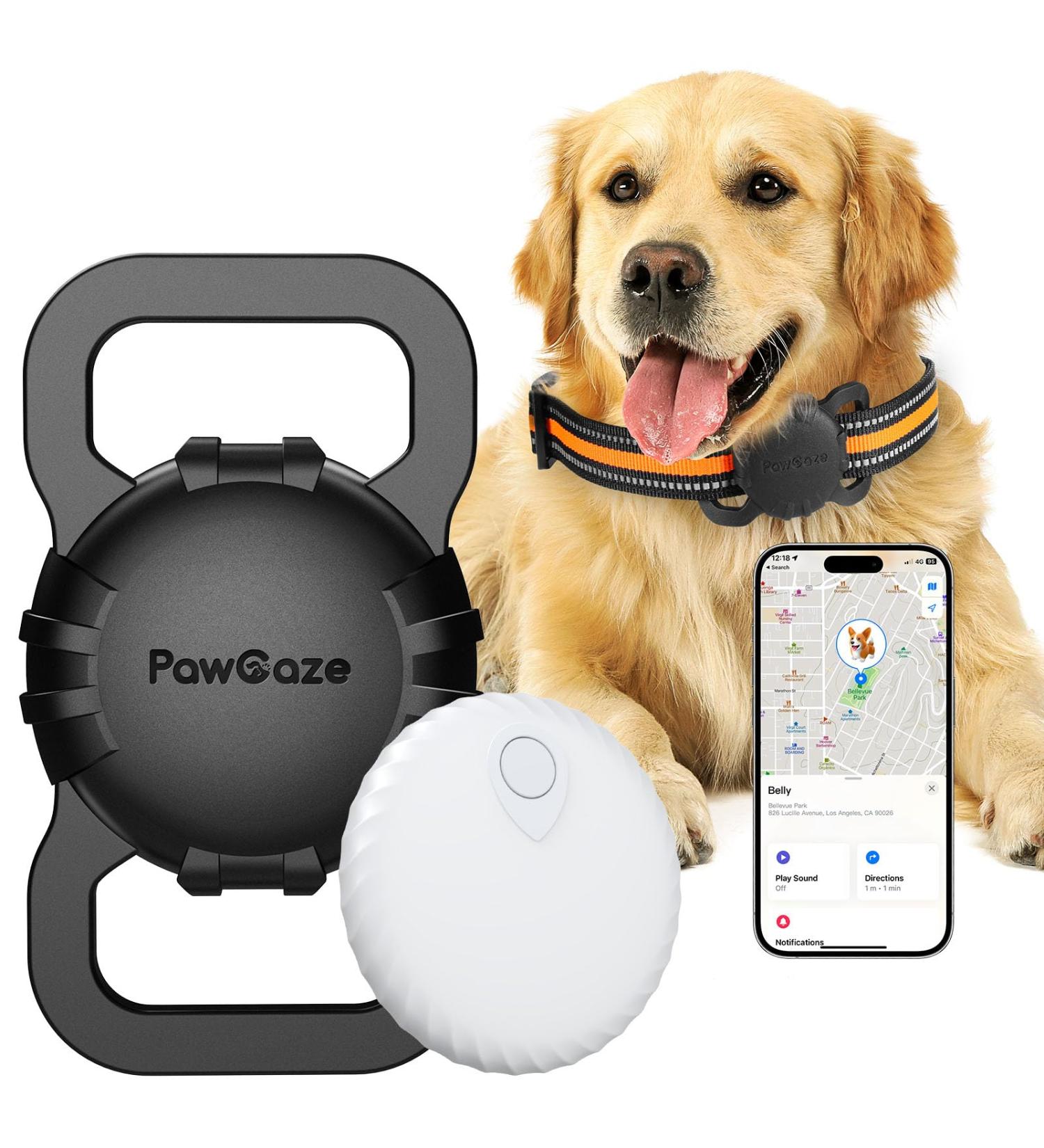 Dog Tracker No Monthly Fee Cat Tracker Key Finder(Only iOS) Anti-Lost Tracking Device FinderTag for Kids Bluetooth Tracker Tag with Silicone Cover for Pet Collar Wallet Luggage School Bag Strap Tracker-M - Buy Online on GoSupps.com
