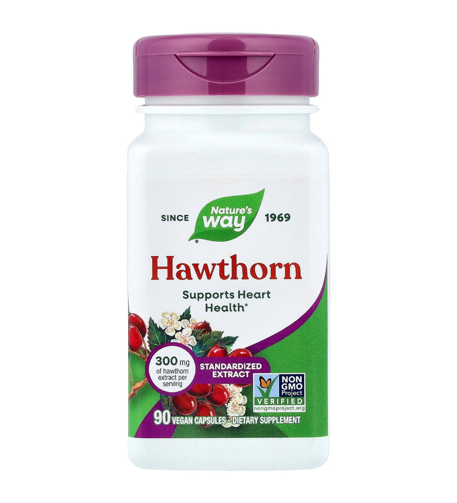 Hawthorn Standardized Extract - 90 - Capsule