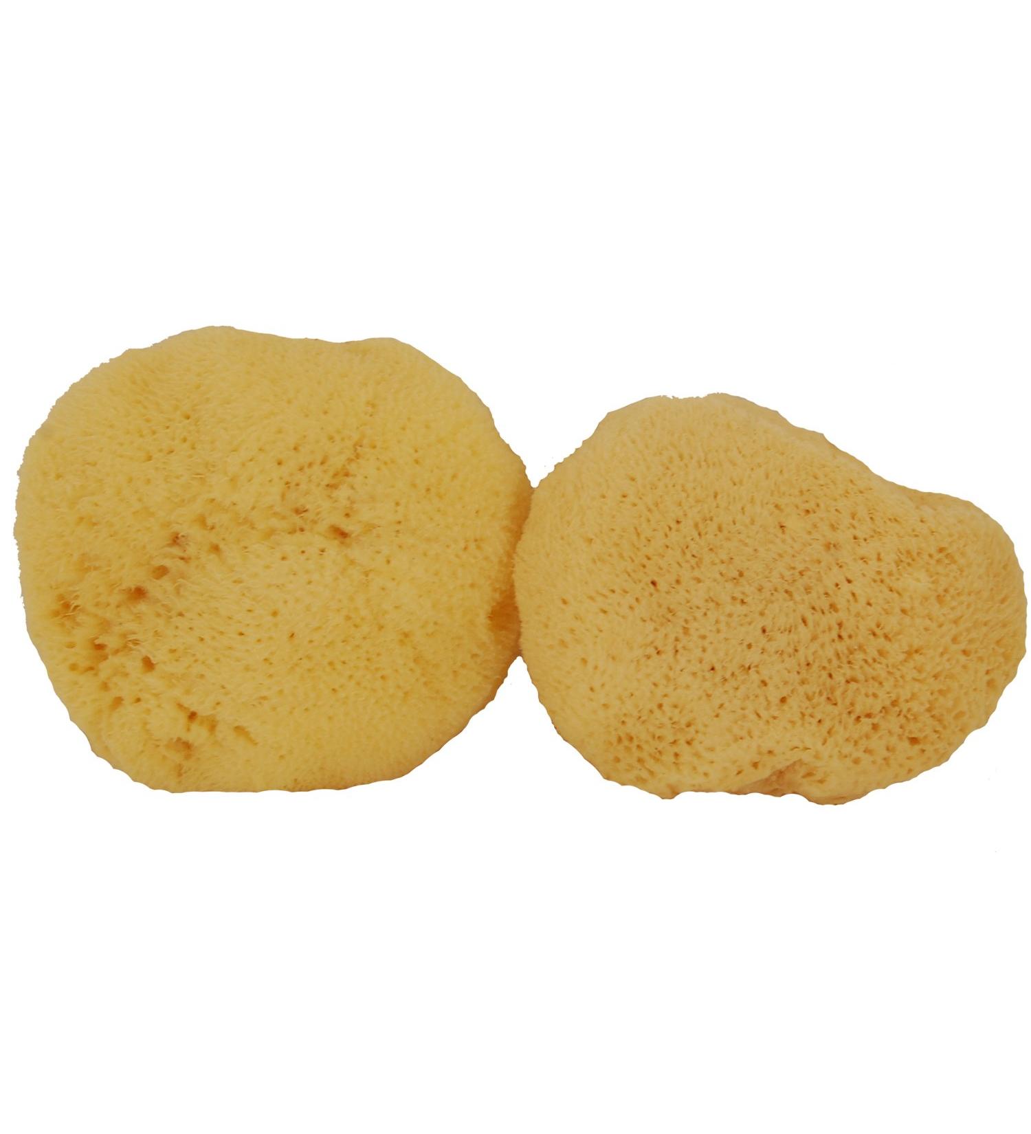 Sea Pearls Plus (Extra Large + Firm) Reusable Sea Sponges