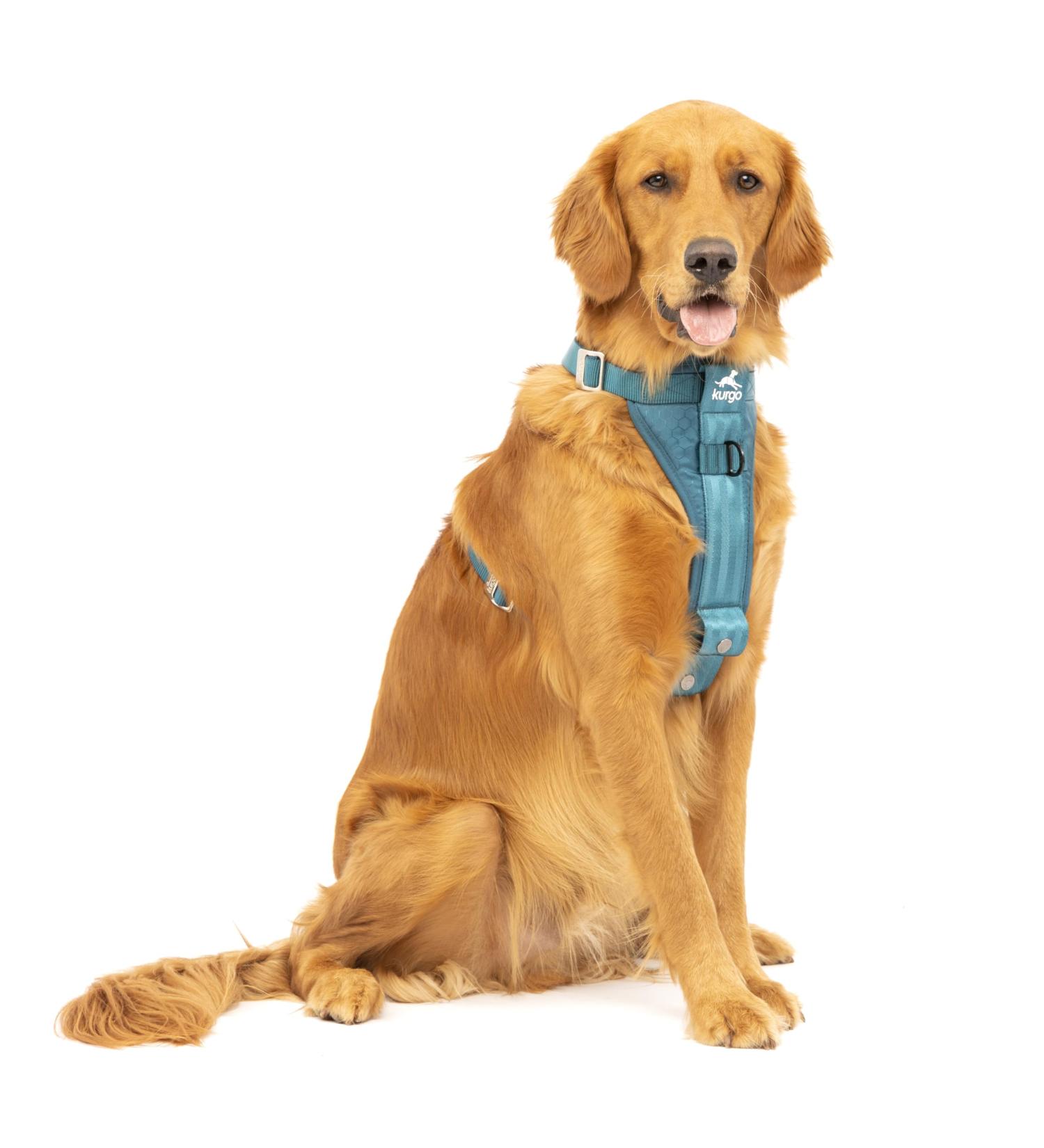 Kurgo Tru-Fit Dog Harness - Crash Tested Car Seat Belt for Small Dogs (2-5 kg) - Size L - Ink Blue - Buy Online on GoSupps.com