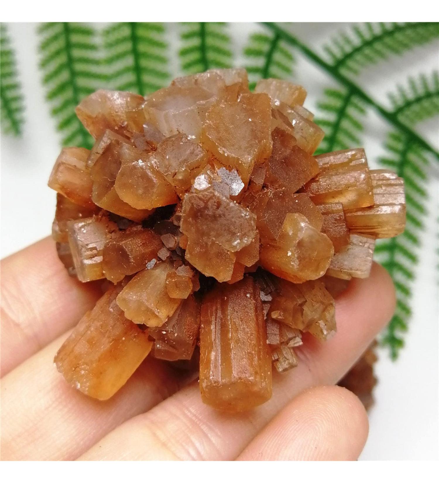 Natural Crystal Rough Natural Crystal Rough 1pc Natural Rare Red Aragonite Quartz Crystal Cluster Ornaments Rough Stone Cluster Specimen Home Decor (Color : As Shown Size : 60-70g) 60-70g As Shown - Buy Online on GoSupps.com