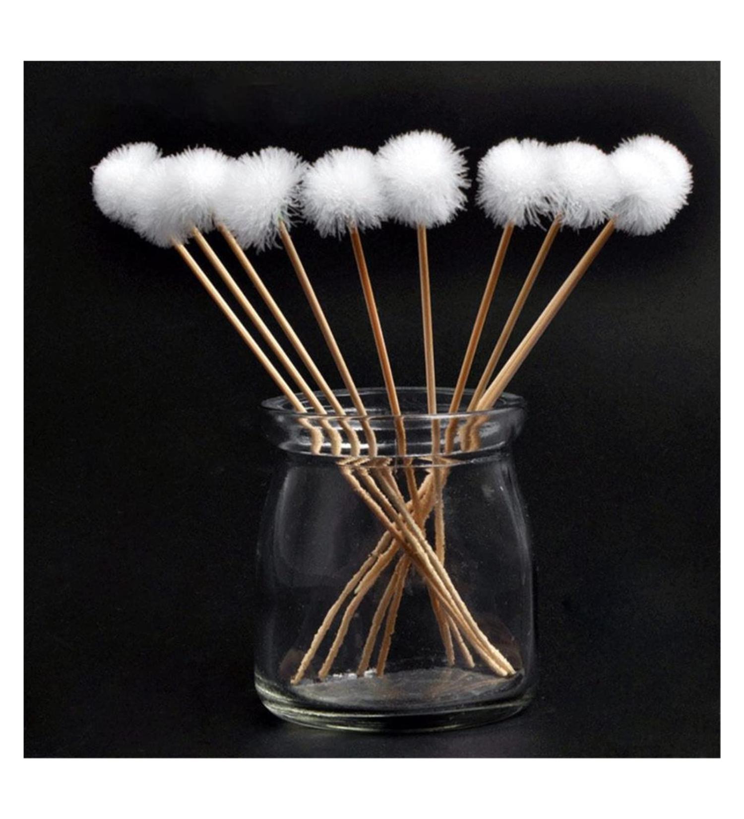 10Pcs Goose Feather Earpick Wax Remover Spoon Set - Adult Handle Ear Dig Tool - Buy Online on GoSupps.com