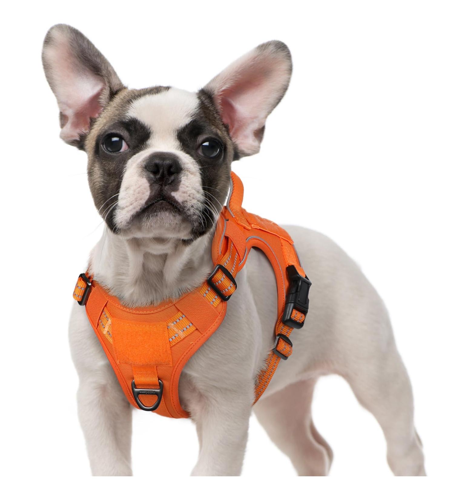 Rabbitgoo Adjustable Tactical Dog Harness for Small Dogs - Durable Anti-Train with Handles & Metal Buckles - Orange (Size S) - Buy Online on GoSupps.com
