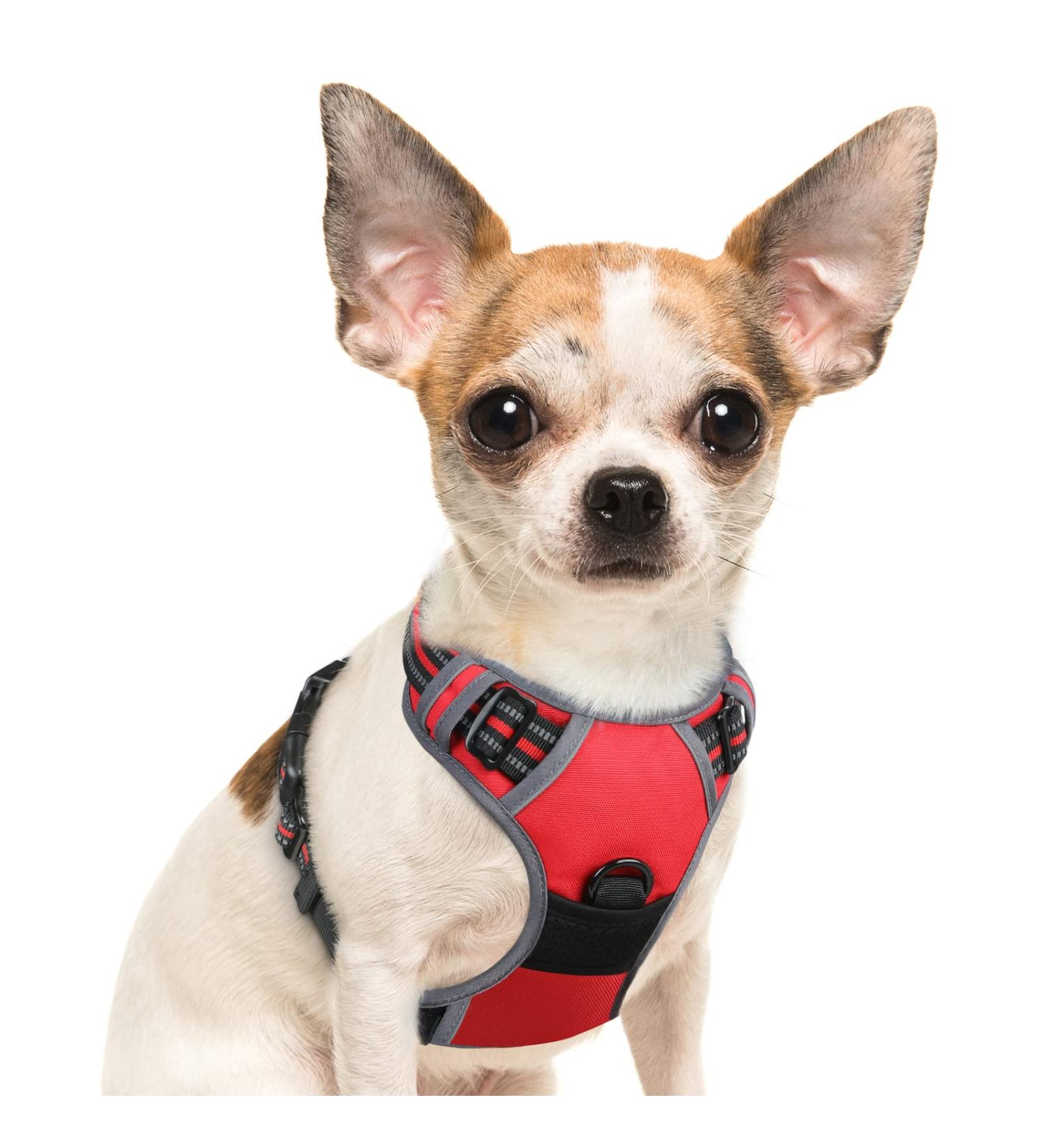Eagloo Dog Harness for Small Dogs | Adjustable Anti-Train Dog Harness with Reflective Strips | Durable & Comfortable for Walking/Jogging | 1 Pack Red - Buy Online on GoSupps.com