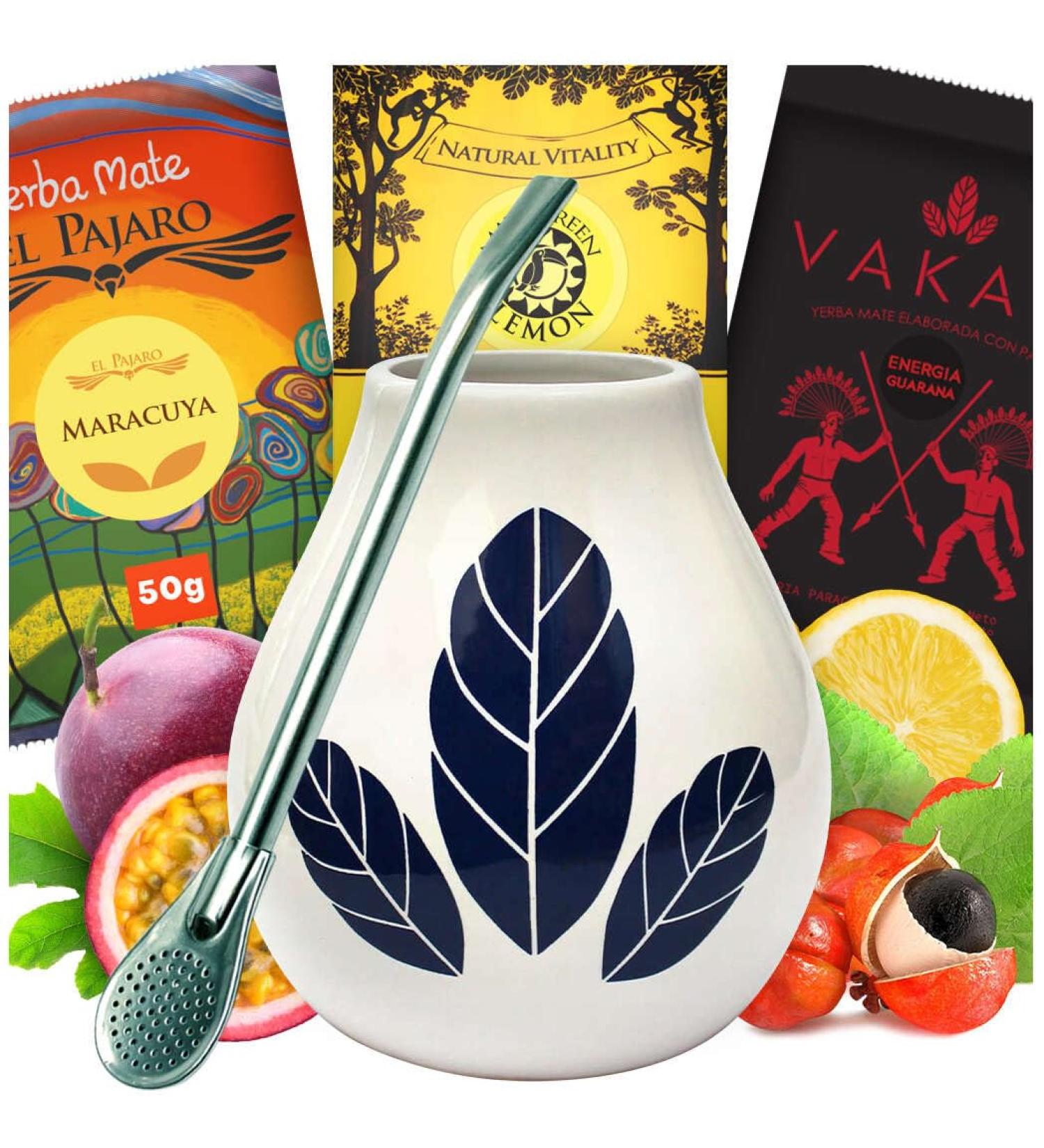 Yerba Mate Starter Set | Brazilian Mate Tea 150g | Herbal & Fruit Blend | Ceramic Hoja White Cups | Steel Bombilla | Gluten-Free - Buy Online on GoSupps.com
