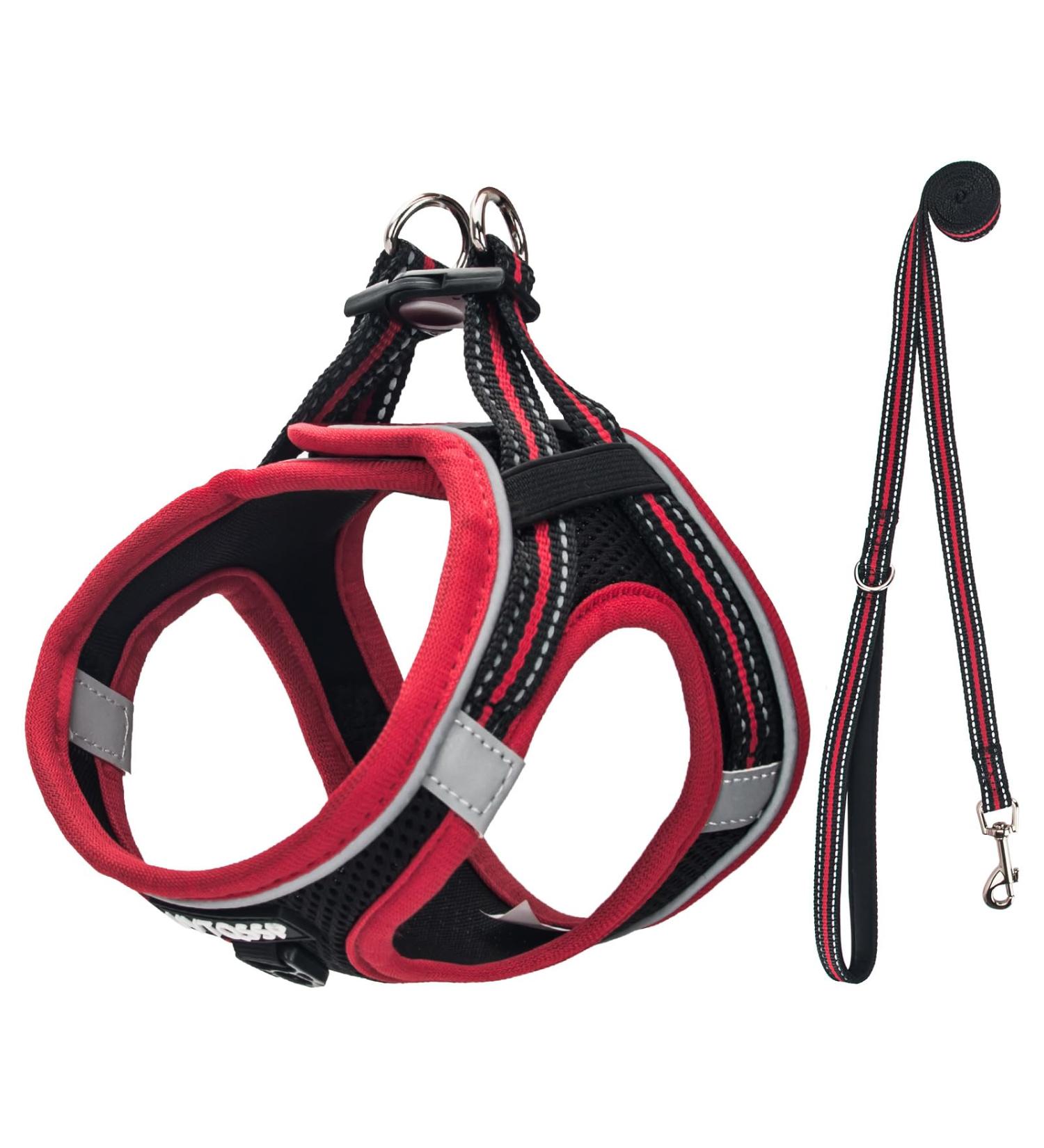 Uvtqssp Dog Harness for Small Dogs | Padded Adjustable Leash & Stylish Black & Red Puppy Dishes - Buy Online on GoSupps.com