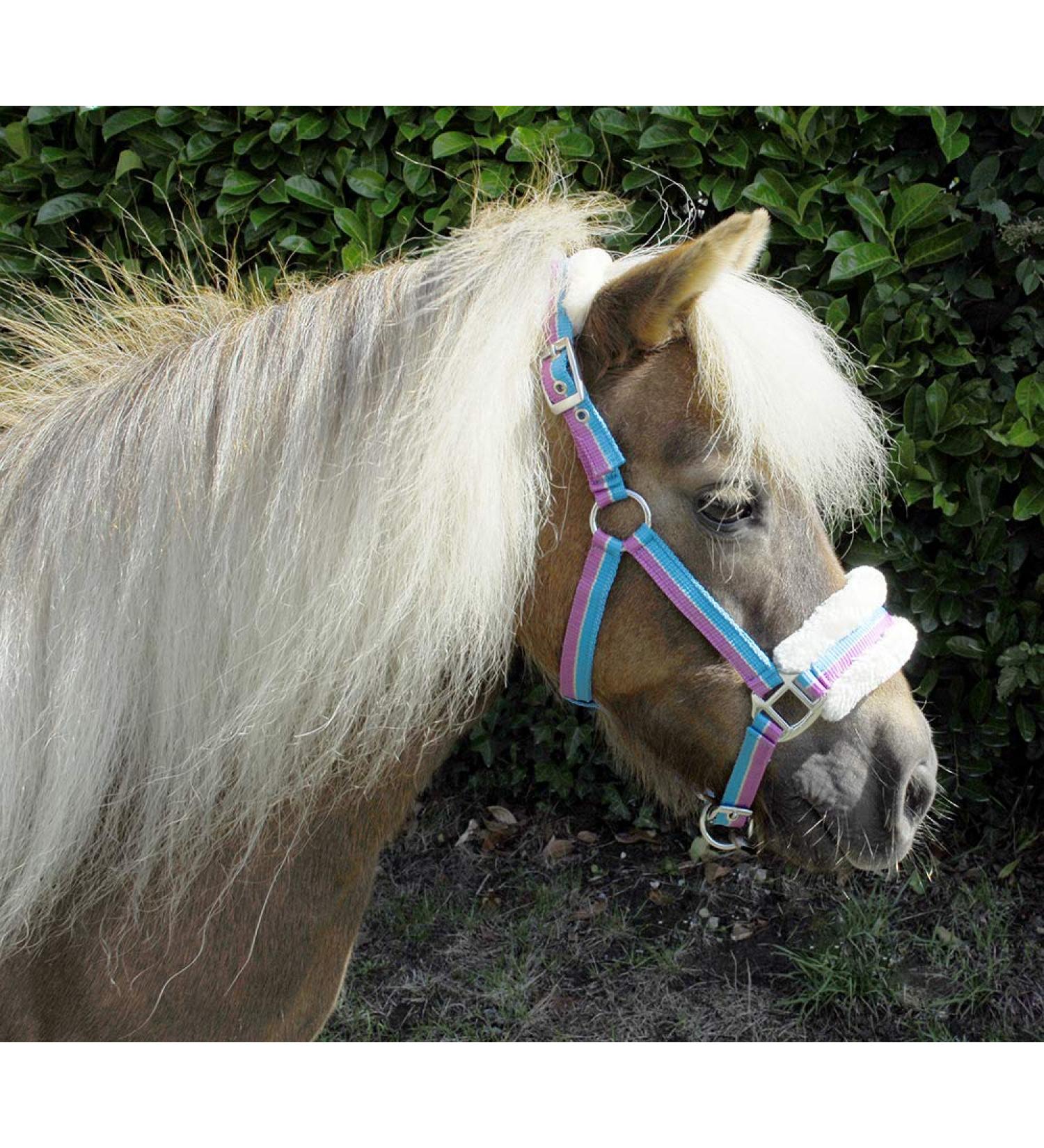 Rhinegold Turquoise Stripe Bright Striped Fur Trim Small Pony Headcollar