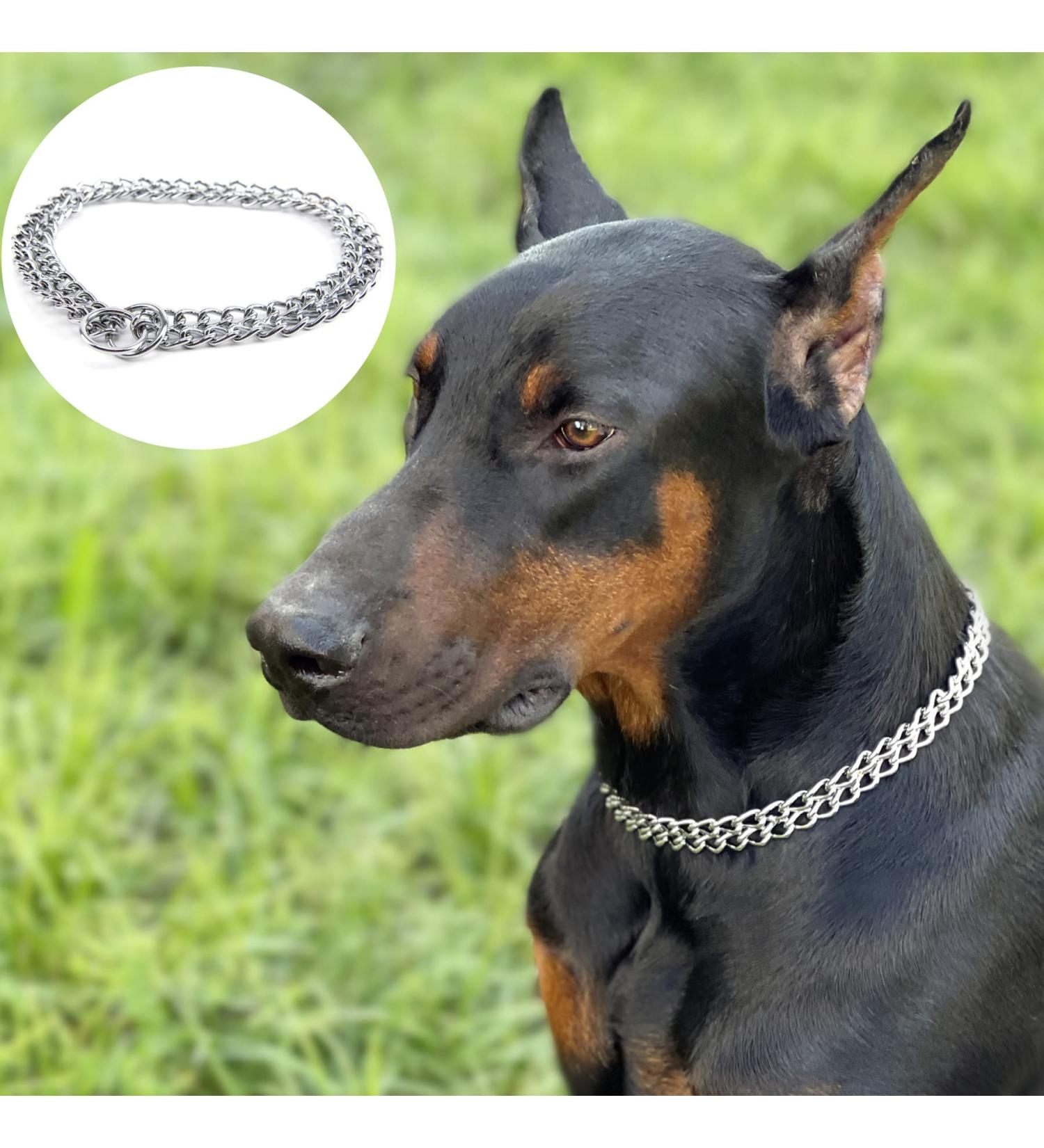 JYHY Luxury Dog Choke Collar Slip P Chain -Pet Iron Metal Double Chain Row Neck Walking Training Small Medium Large Dogs 55cm 2.5mm*55cm - Buy Online on GoSupps.com