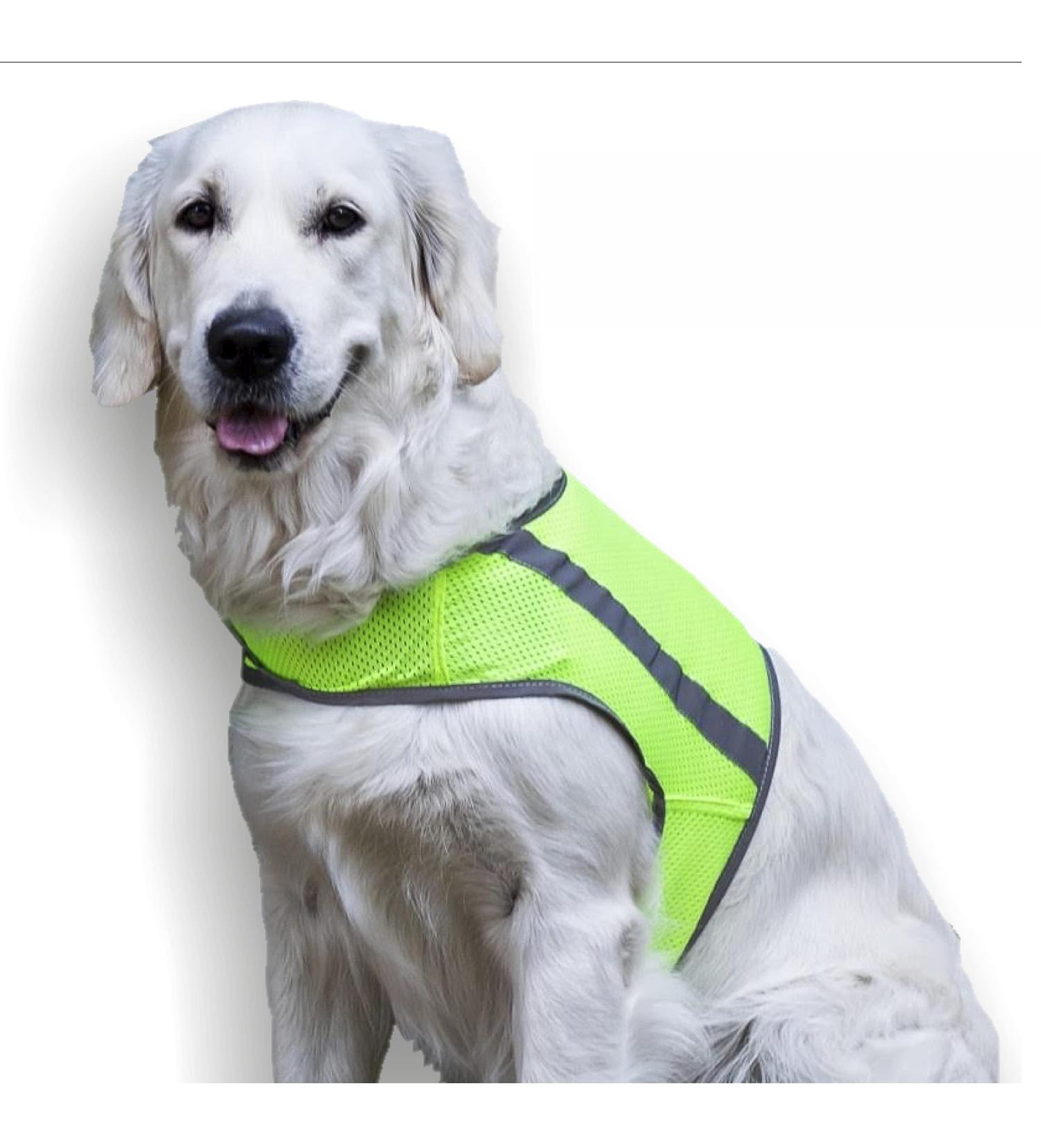 Buy FinNero ATTE Safety Vest for Dogs - Size XXL | Premium Dog Safety Gear for International Shipping - Buy Online on GoSupps.com